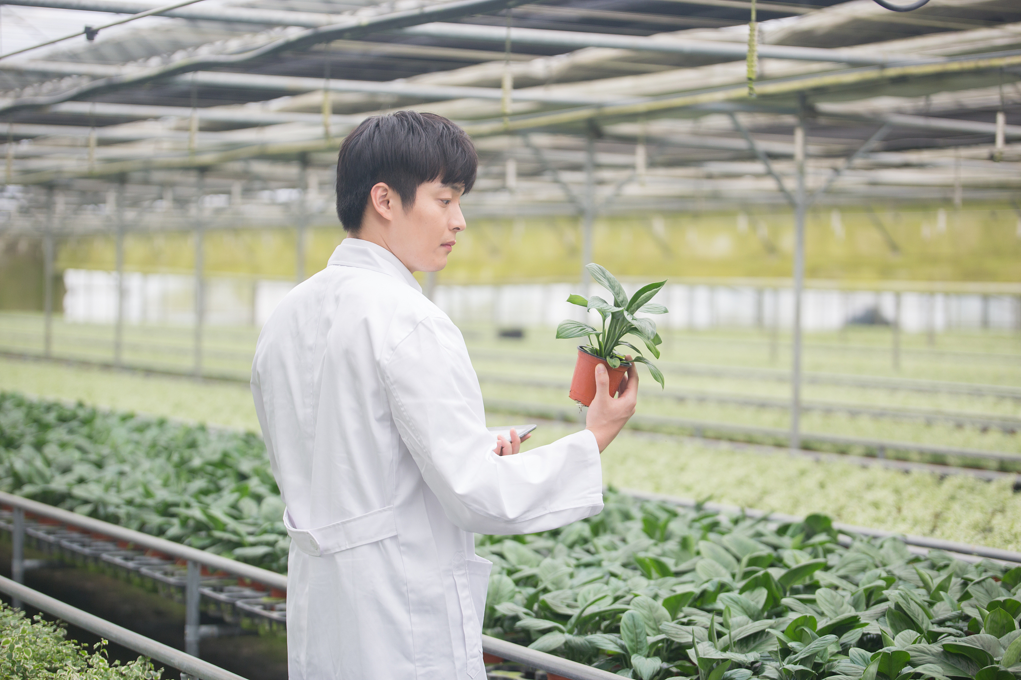 湖北生物科技职业学院种子生产与经营专业怎么样
