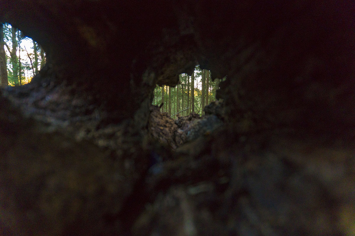 继续扩写故事二要求节奏慢一点