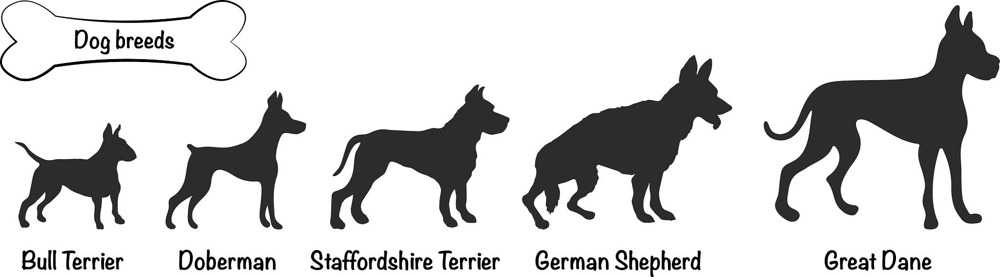 Cesar Millan and Rue's Running Challenge: How Far Does Rue Run?