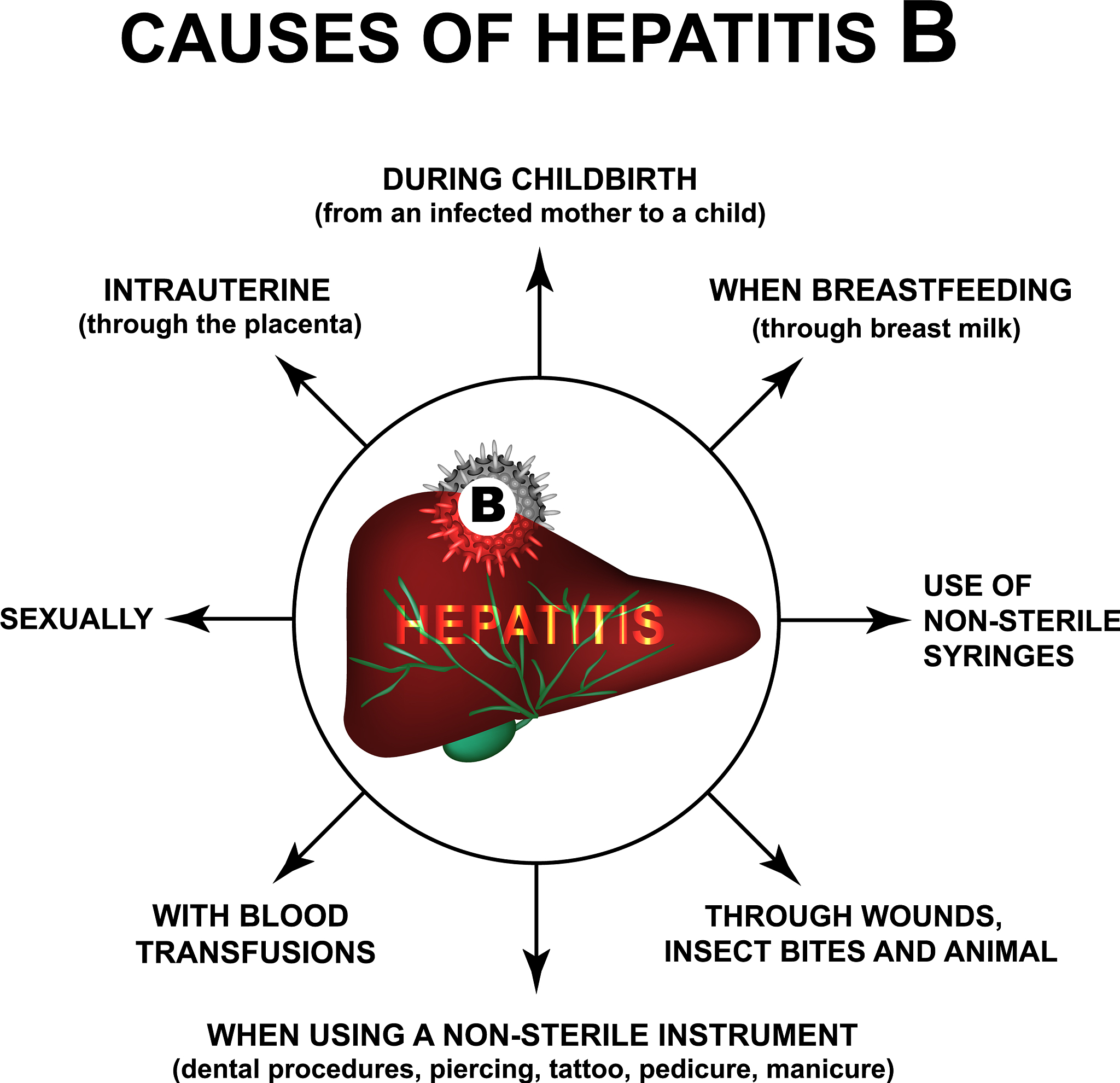 In the beginning there was Chaos a yawning nothingness Out of the void emerged Gaia the Earth and other divine beings — Eros love the Abyss part of the underworld and the Erebus the unknowable place w