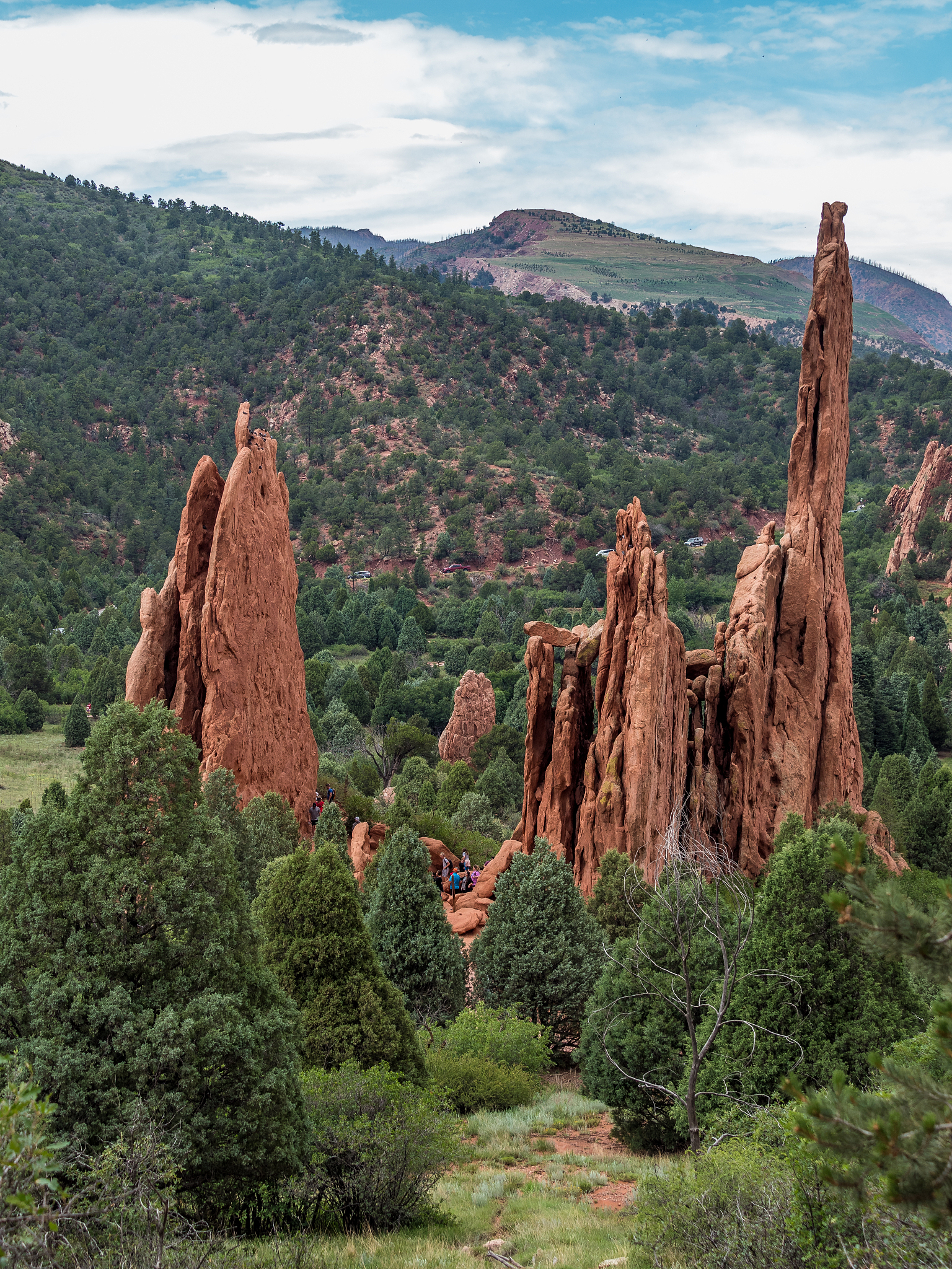 撰写基于微信小程序的陆良彩色沙林风景区服务平台的设计与实现论文的选题意义选题意义分为理论意义和现实意义两点写字数要求分别400字