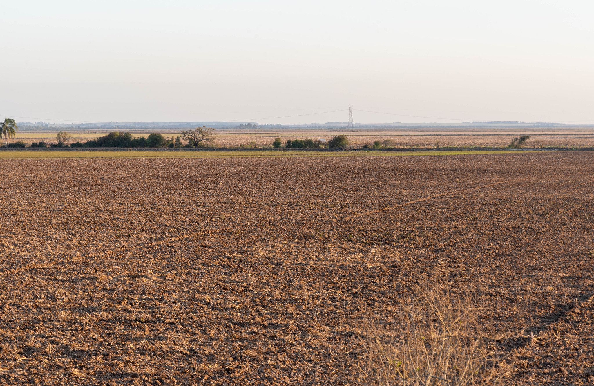 邻水县柑子职业技术学校种子生产技术专业好就业吗