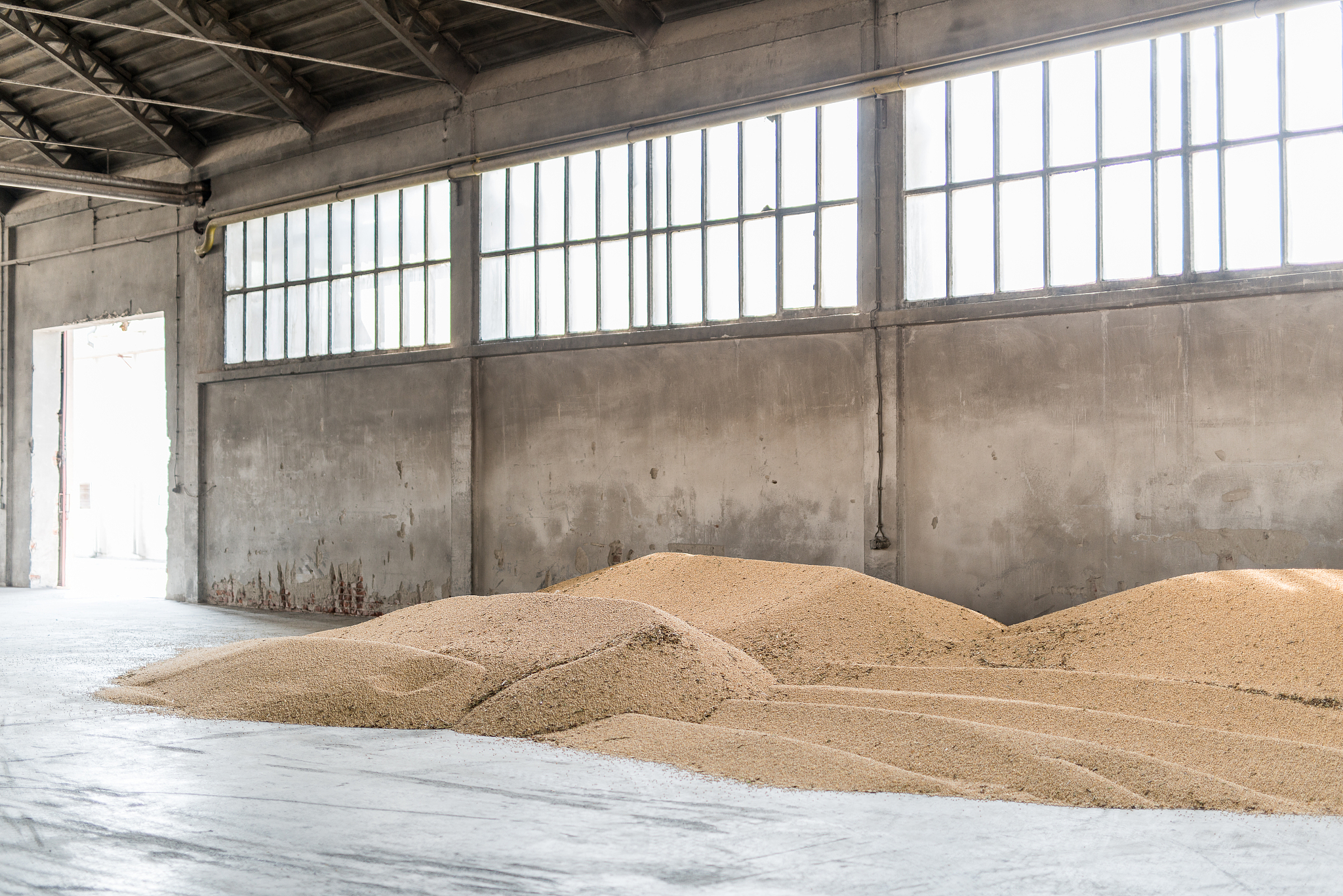 大豆通风速率标准：如何选择合适的通风速率？