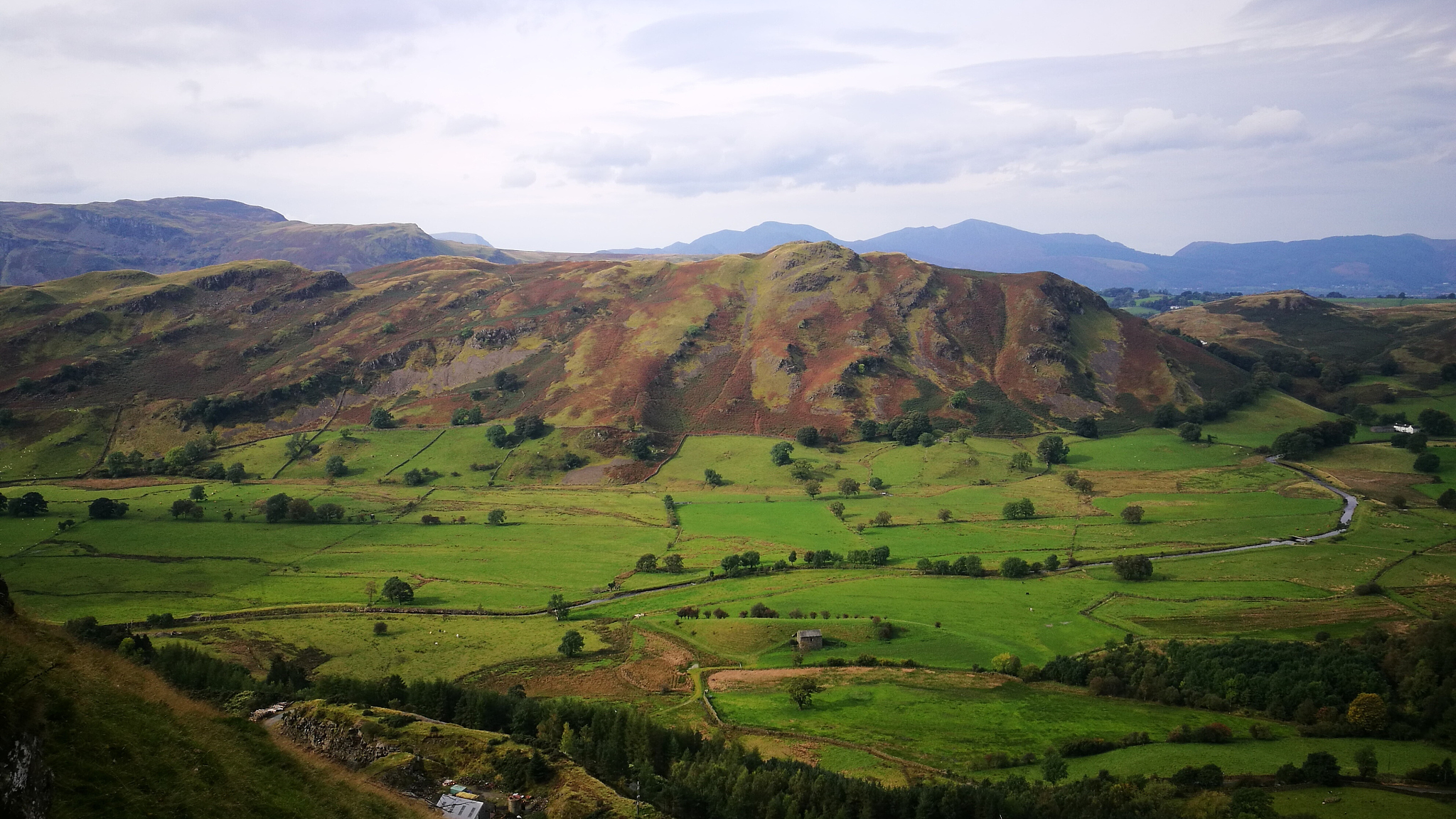 scenic view of green landscape against sky