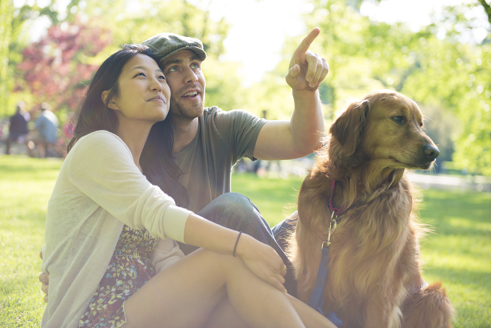 为什么年轻人更爱养宠物？情感寄托新选择