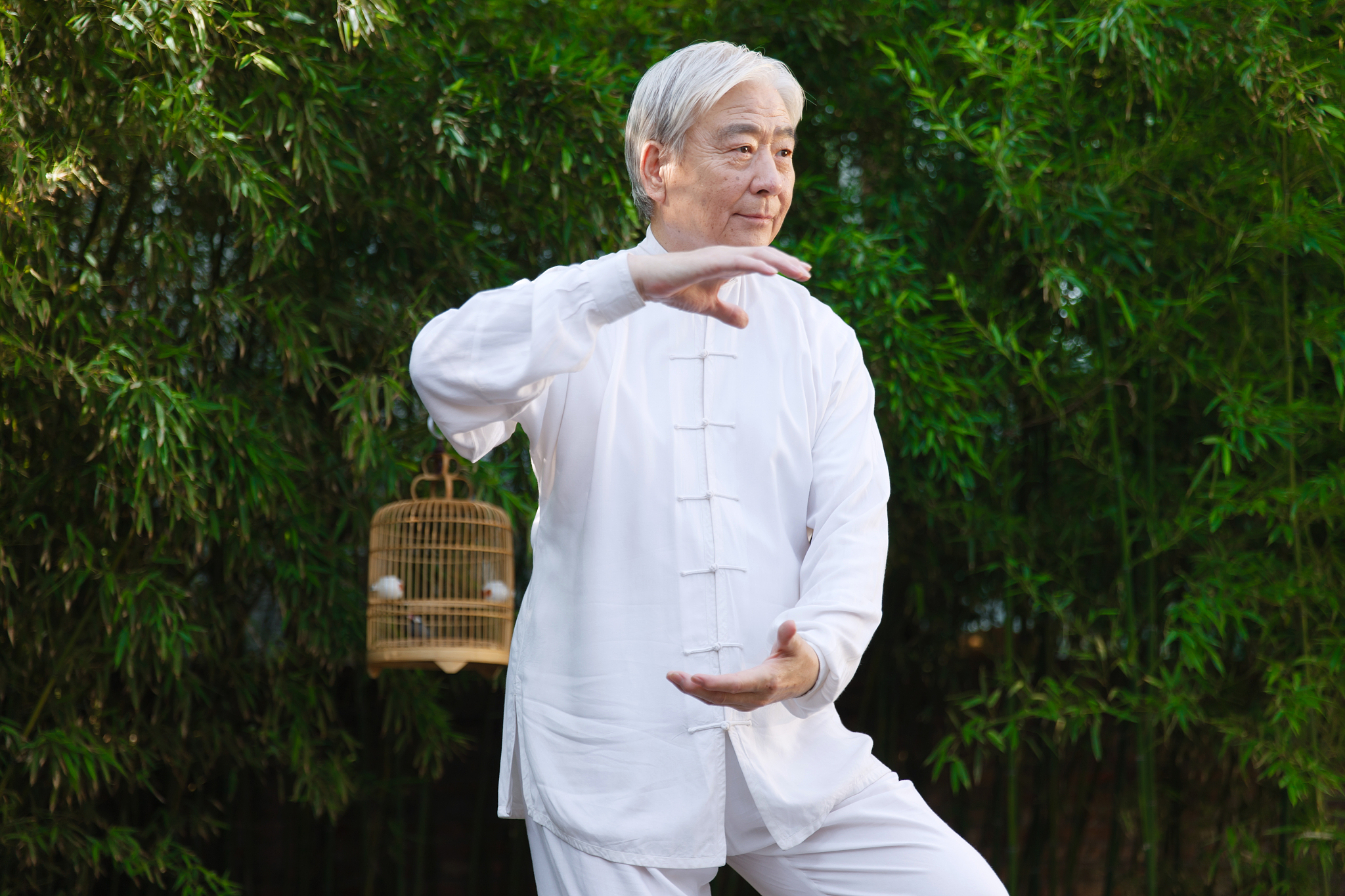 太极还少丹的作用