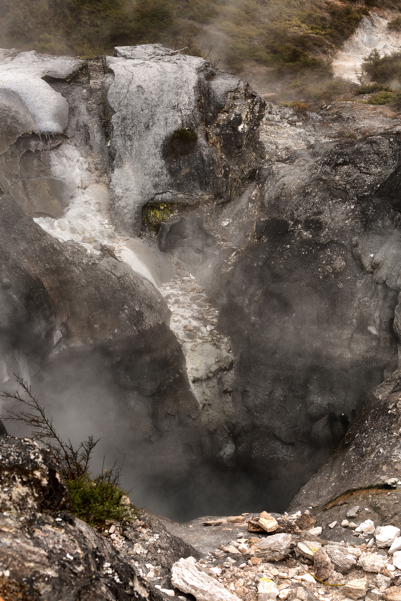 view of thermal activity at the te puia thermal park