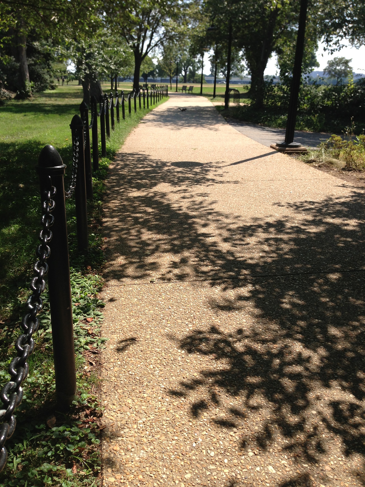 桂林林业学校园林技术专业怎么样？就业前景分析