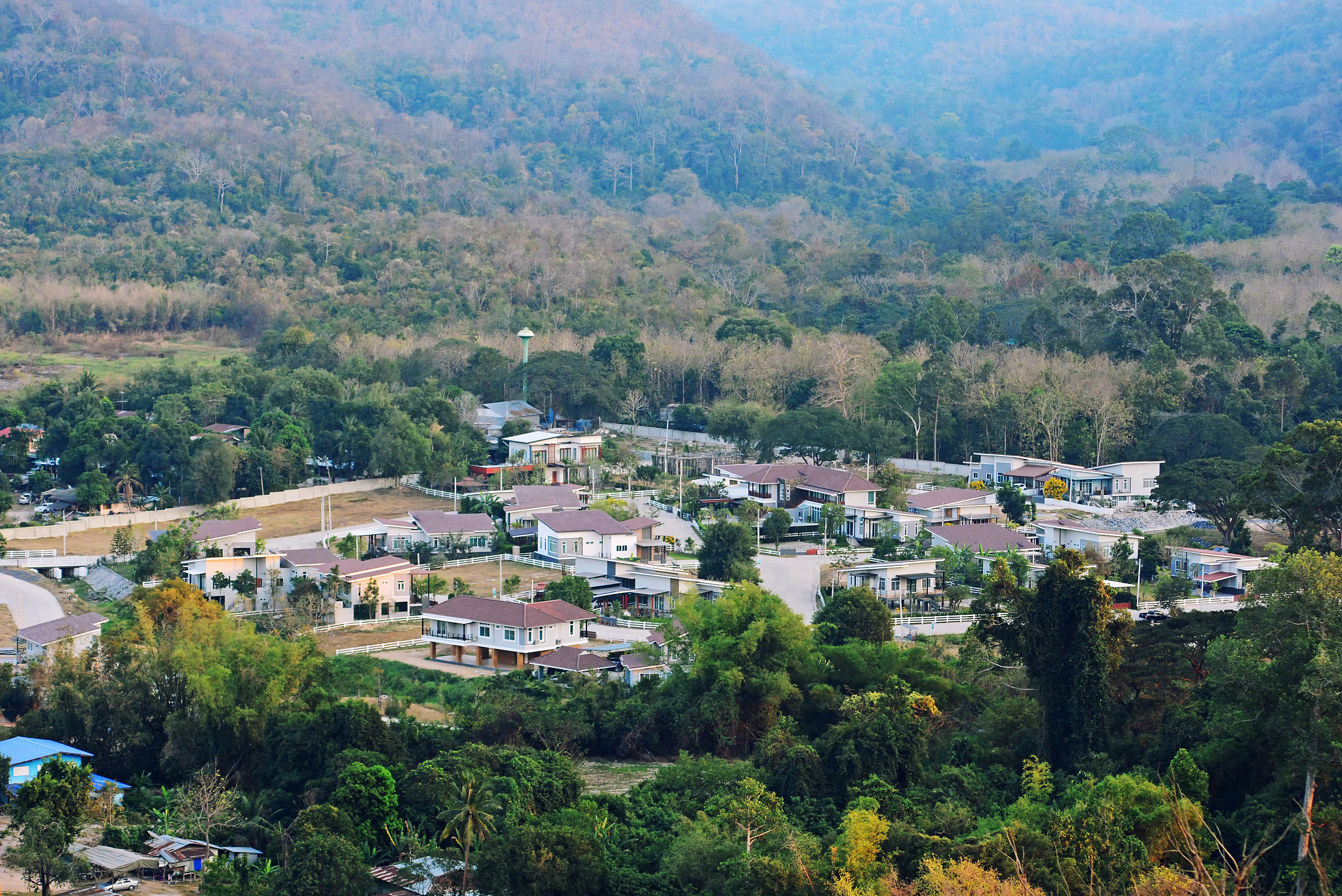 city and forest landscape