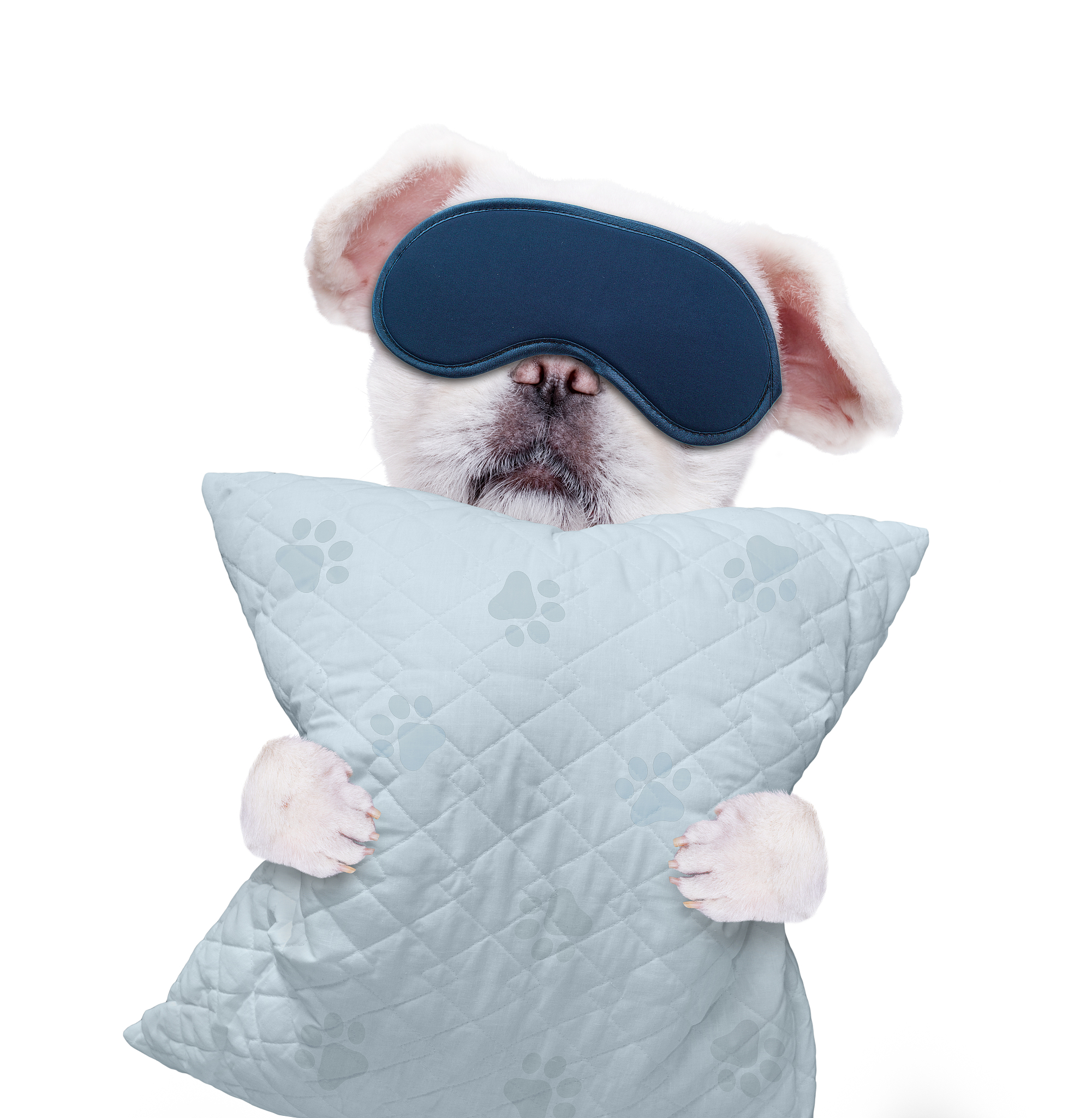 好梦抱枕：舒适睡眠体验的最佳选择 - SLEEPY PILLOW