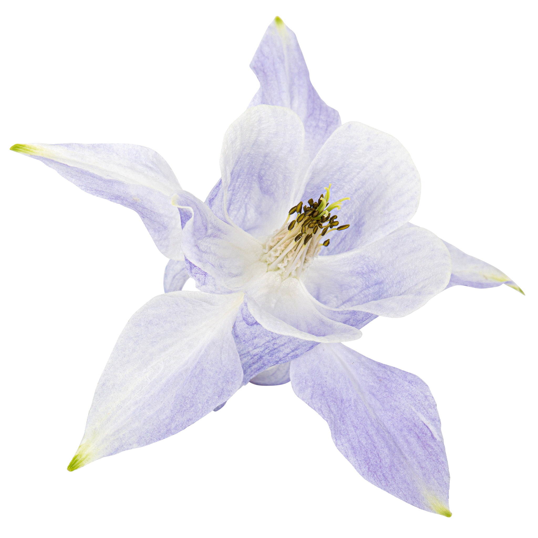 60 Inch Double Vanity with Marble Top and Soft-Close Drawers