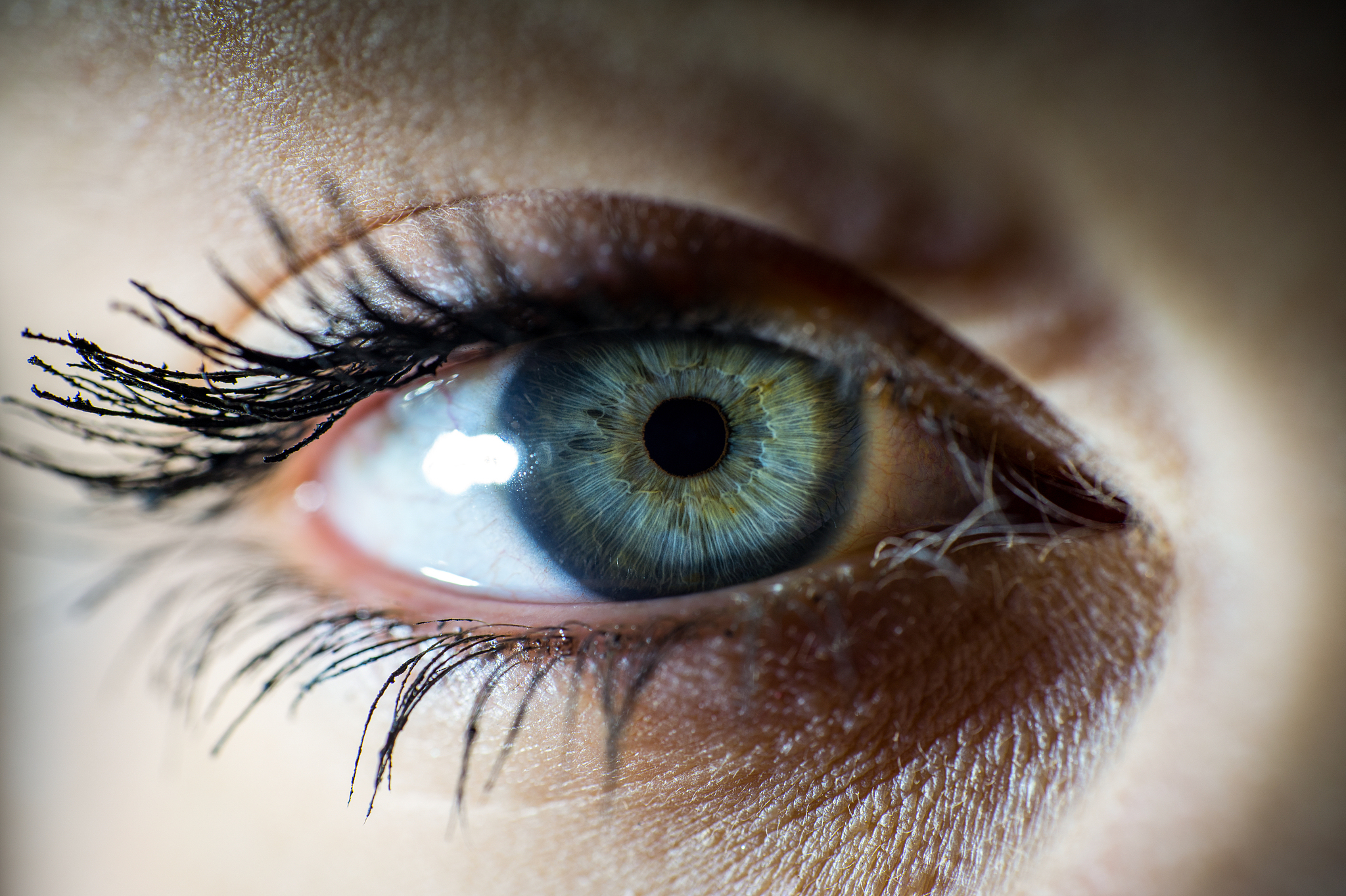 beautiful female blue eye with long eyelashes and makeup looking