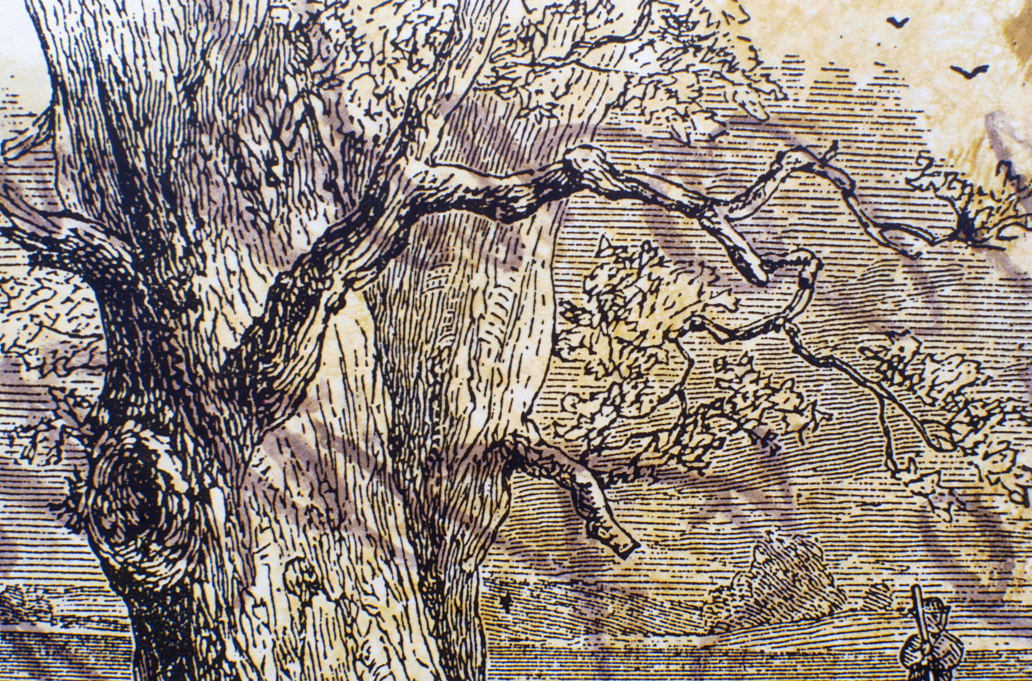 monoprint of a tree