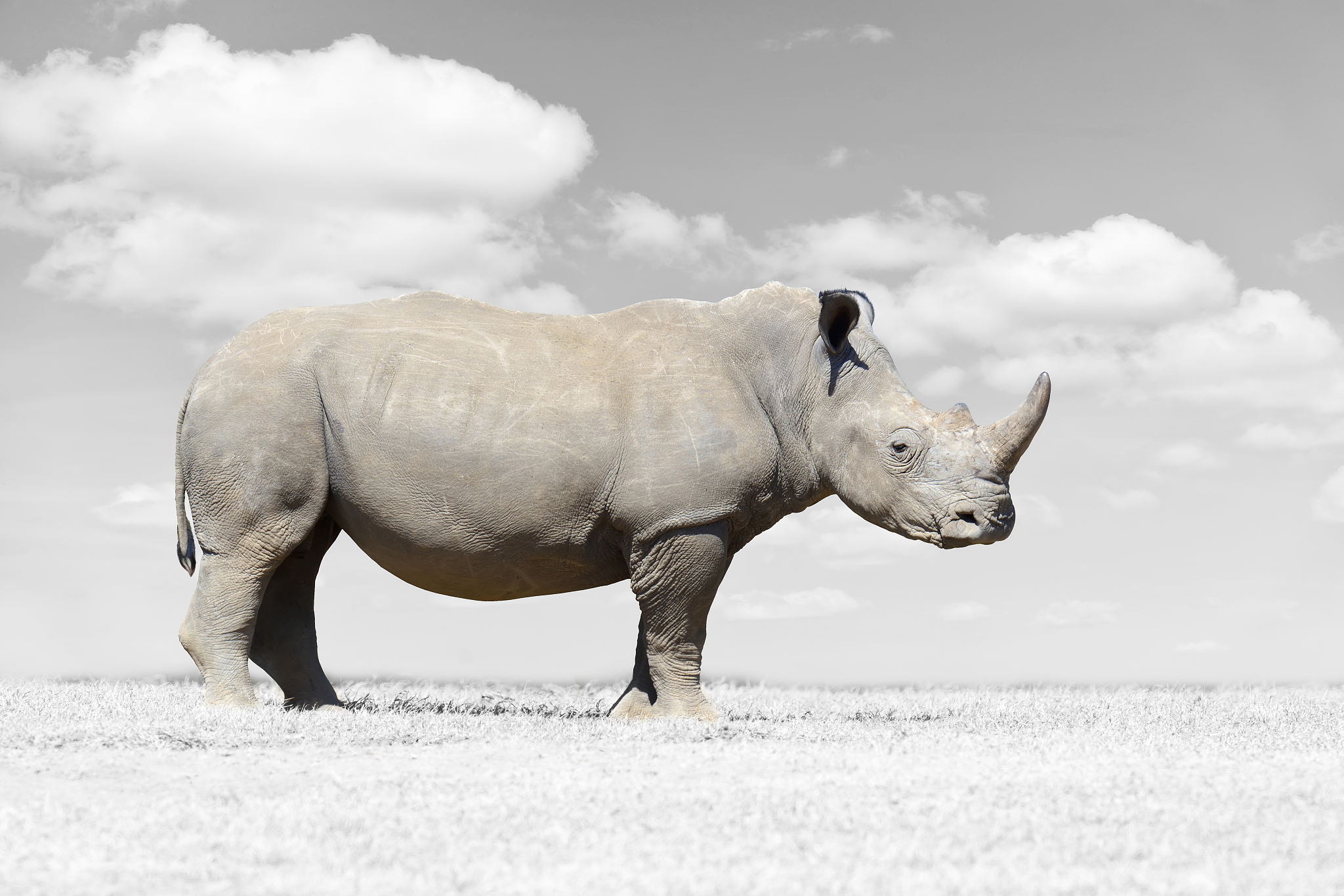 rhino命令集带图标和快捷键整理成文档方便保存