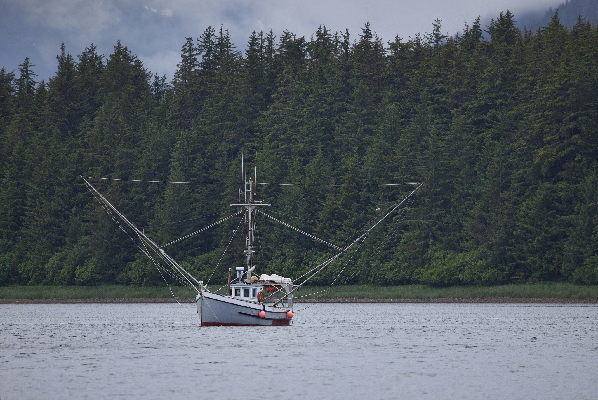 Early Morning Fishing Success! Blue Salmon Frenzy with Mick's Fishing Adventures