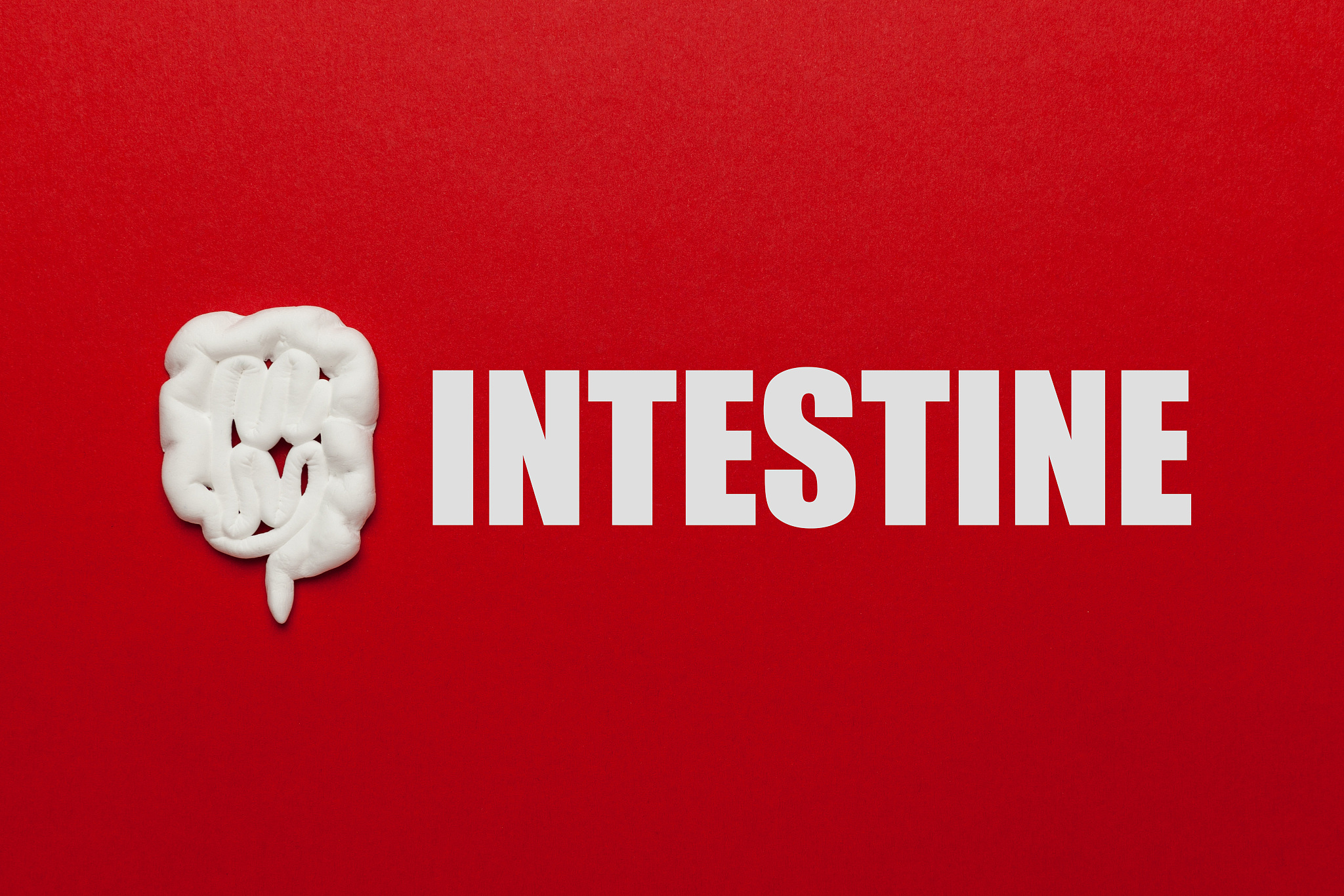 生猪传染性肠胃炎防治：药物种类、剂量、使用方法详解