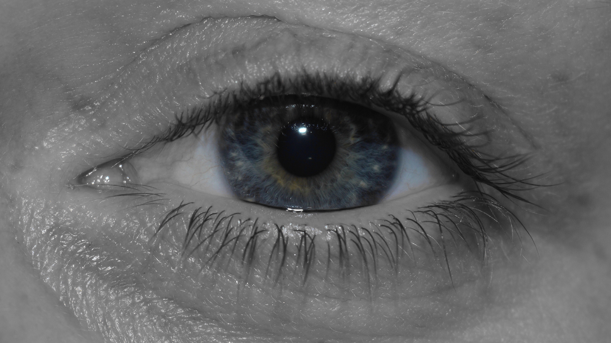 close-up of human eye