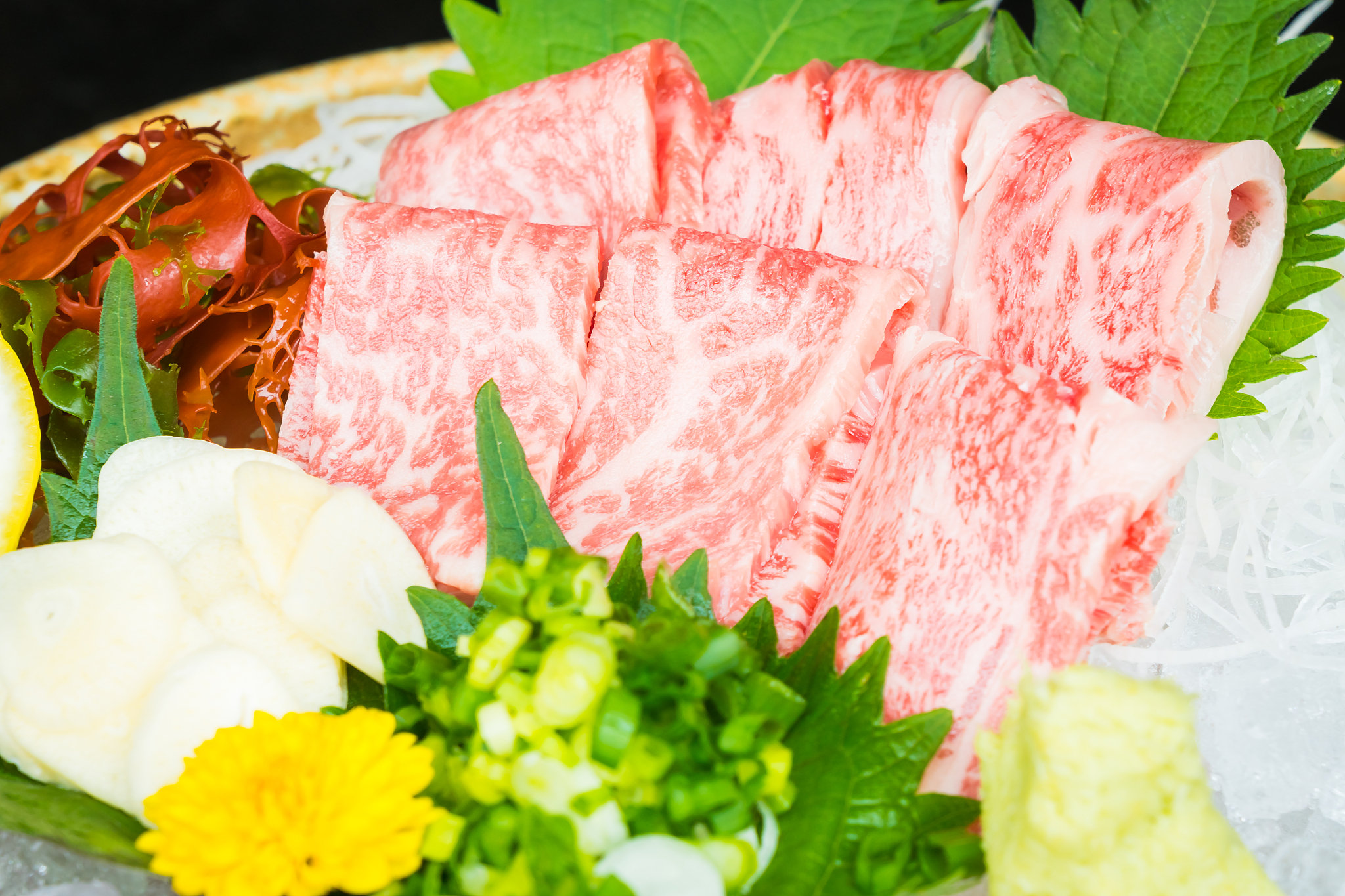 贵州大学食品质量与安全专业怎么样