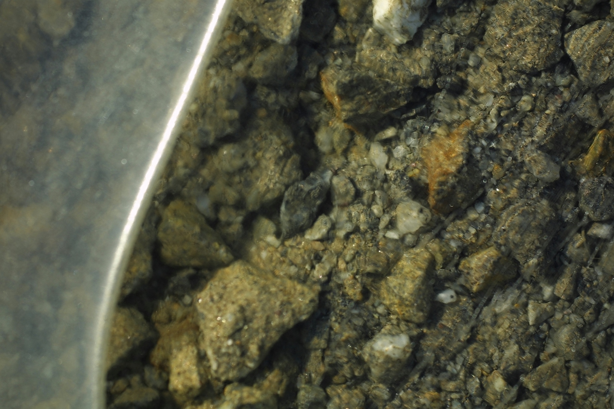 对以下内容进行中文大变化改写换一种说法表达要求语言通顺逻辑清晰。综上所述黄铜矿表面的亲水性和疏水性物质比例会直接影响其可浮性。黄铜矿如果是被轻微氧化则表面产生疏水的单质硫S0和多硫化物Sn2－黄铜矿的可浮性会增加；如果黄铜矿氧化过度表面产生亲水性铜铁金属氧化物或者硫氧酸根会抑制其可浮性。