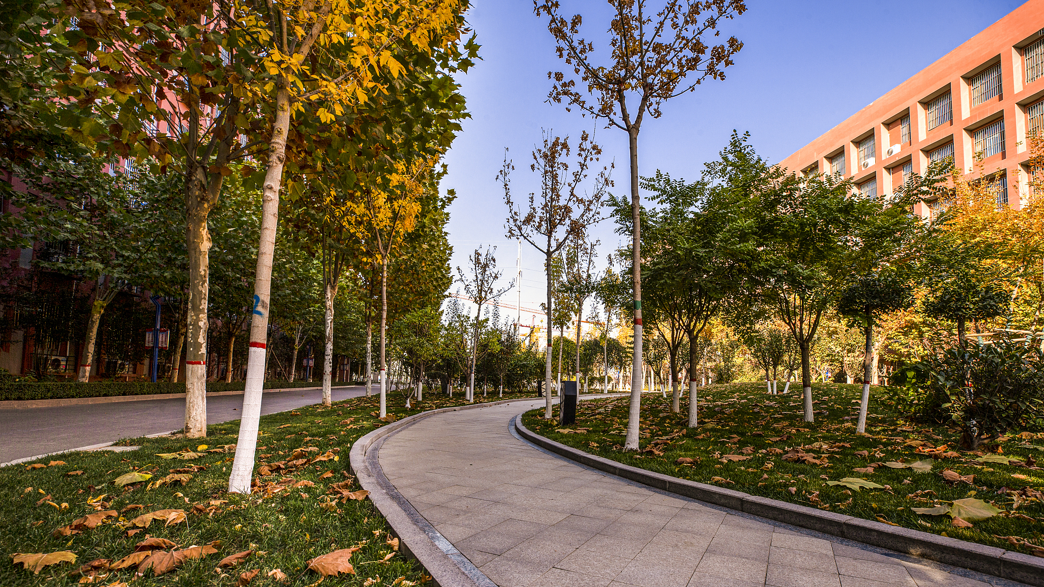 郑州信息工程职业学院景色 怎么样