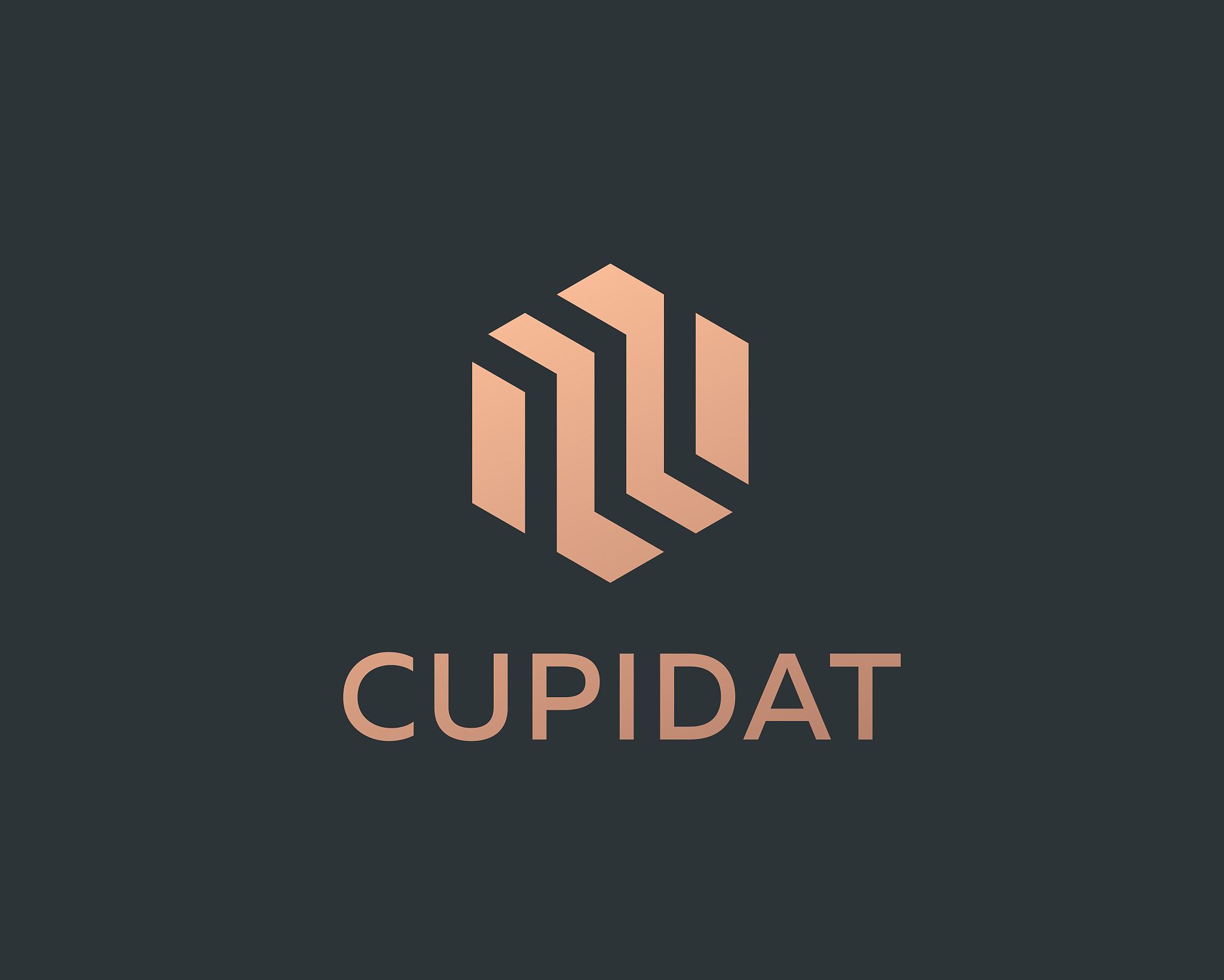 abstract business premium logo design template