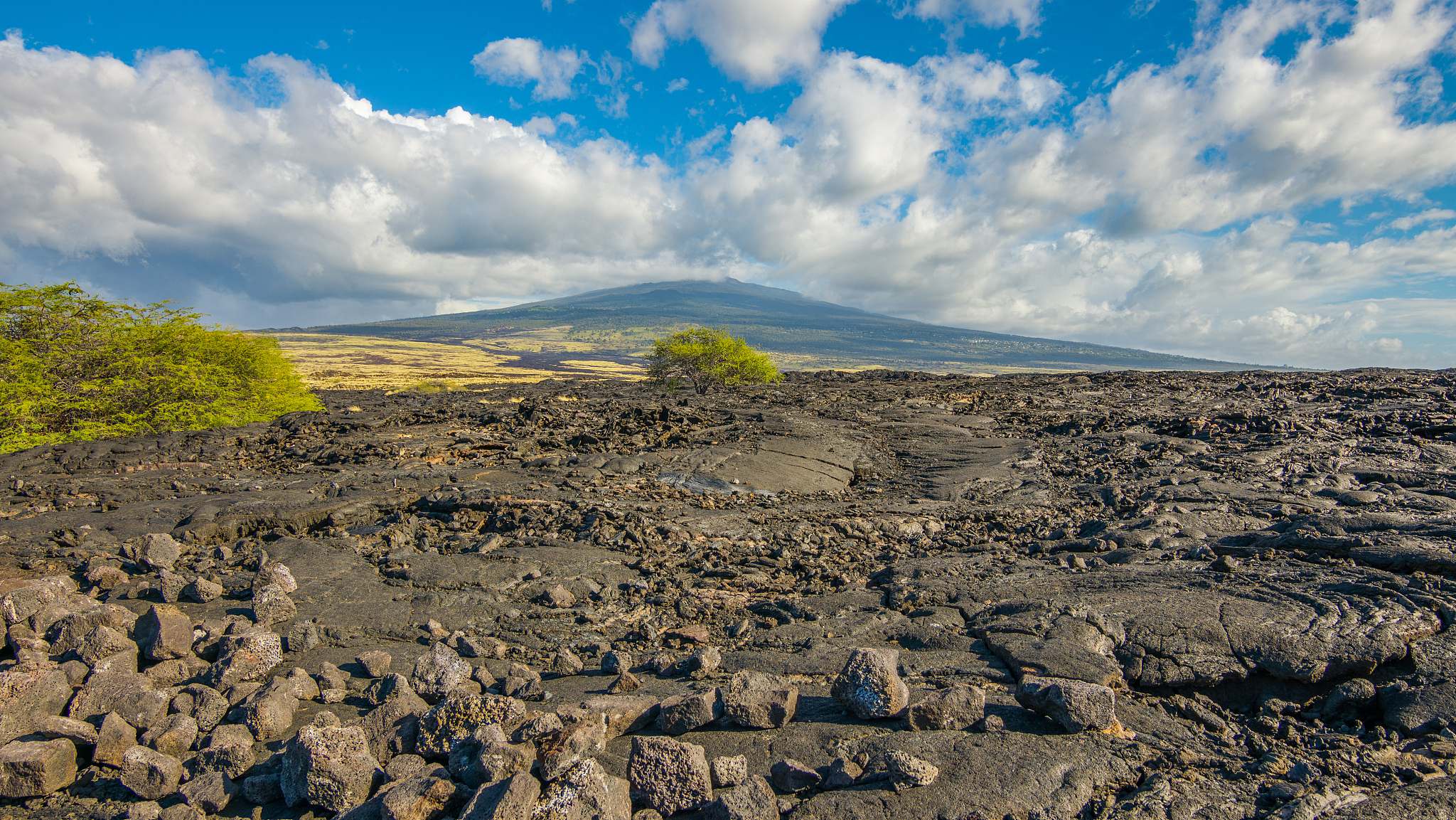 巴塔哥尼亚高原尘暴频发原因分析