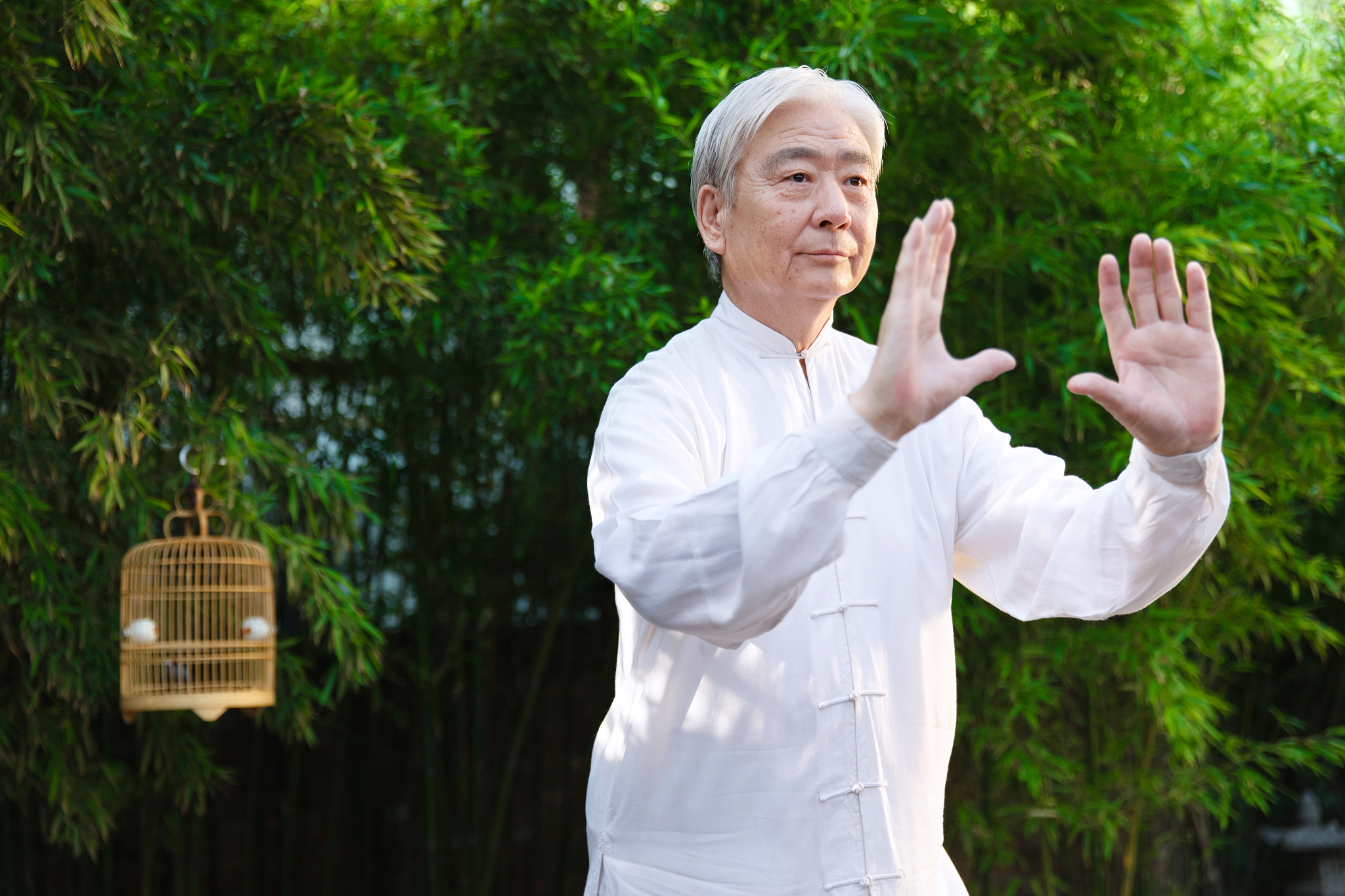 一个老年男人正在练太极拳