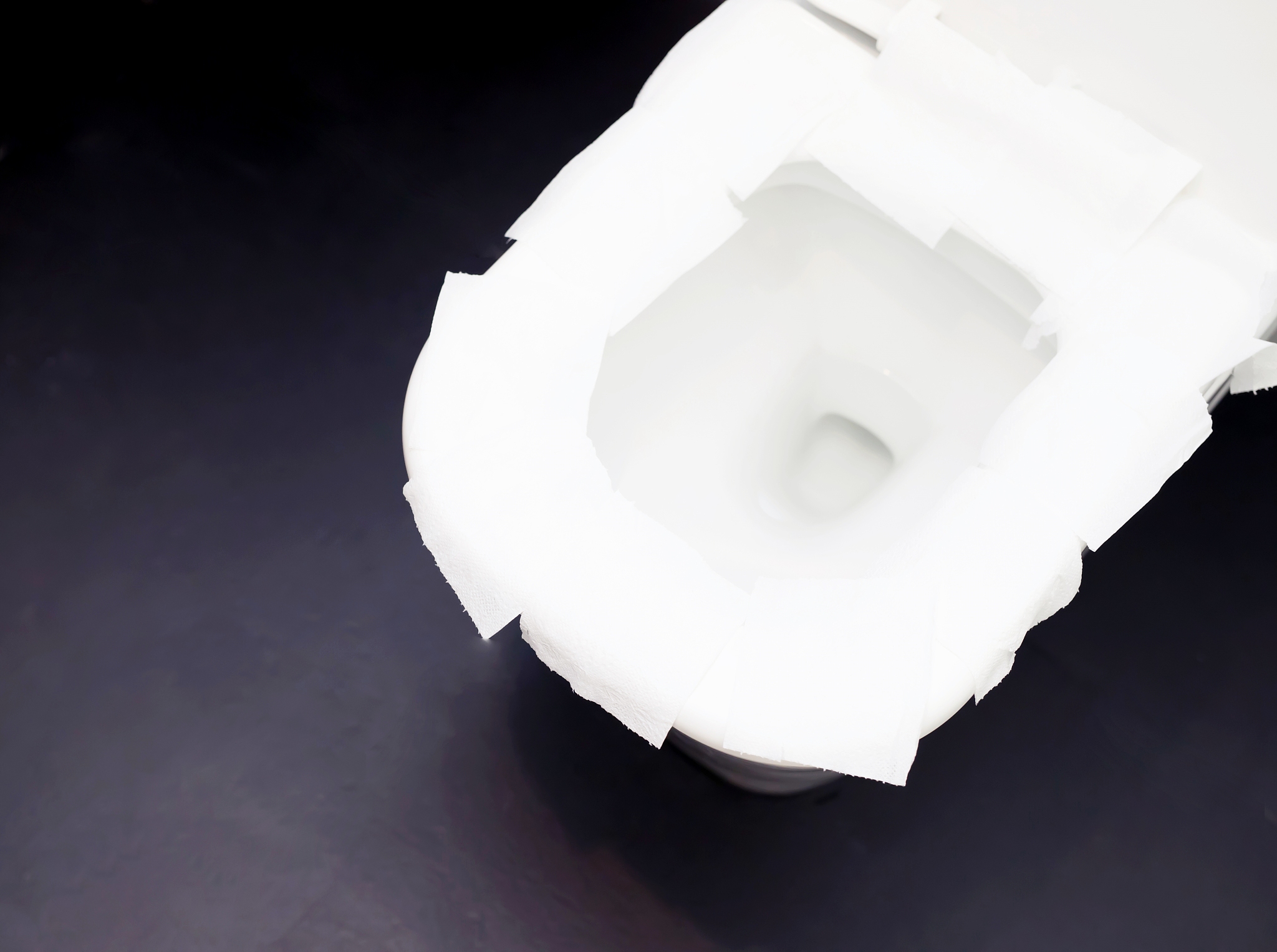 厕纸都可以直接仍马桶么