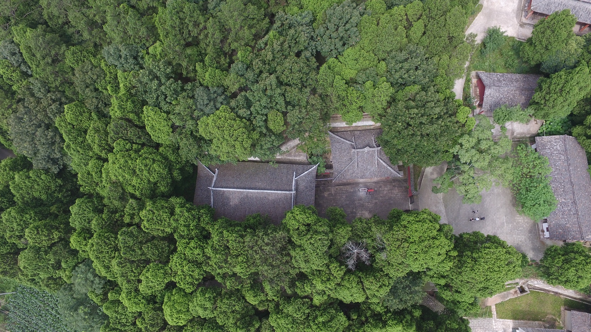 绵阳职业技术学院开设有哪些专业