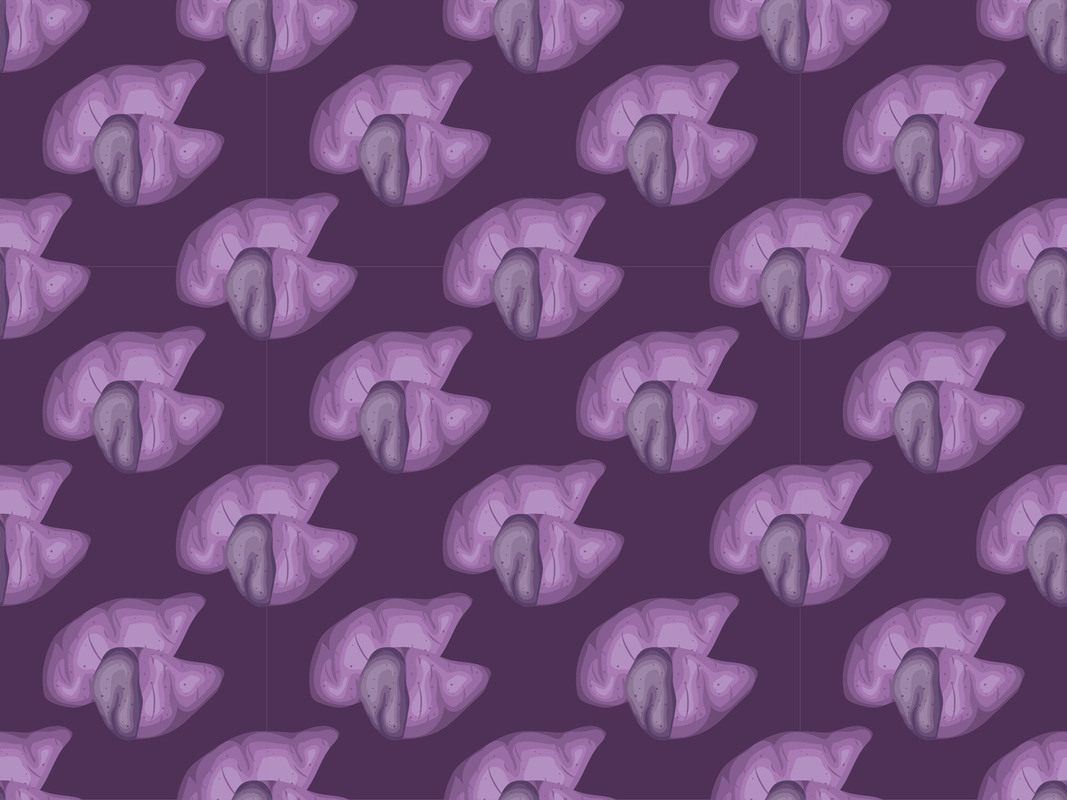 尿酸高能吃鲍鱼吗？高嘌呤食物需谨慎