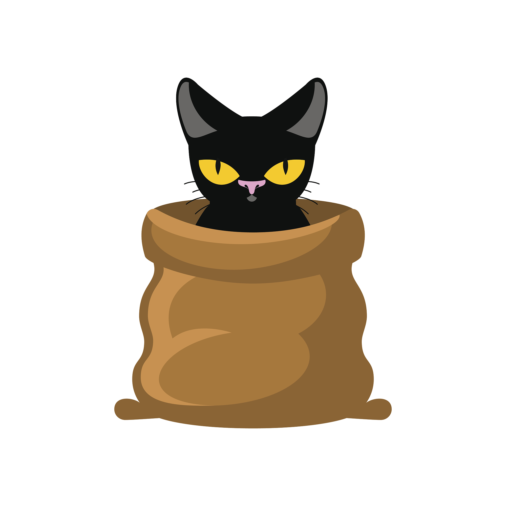cat in bag. pet in sack. allegory bad buy