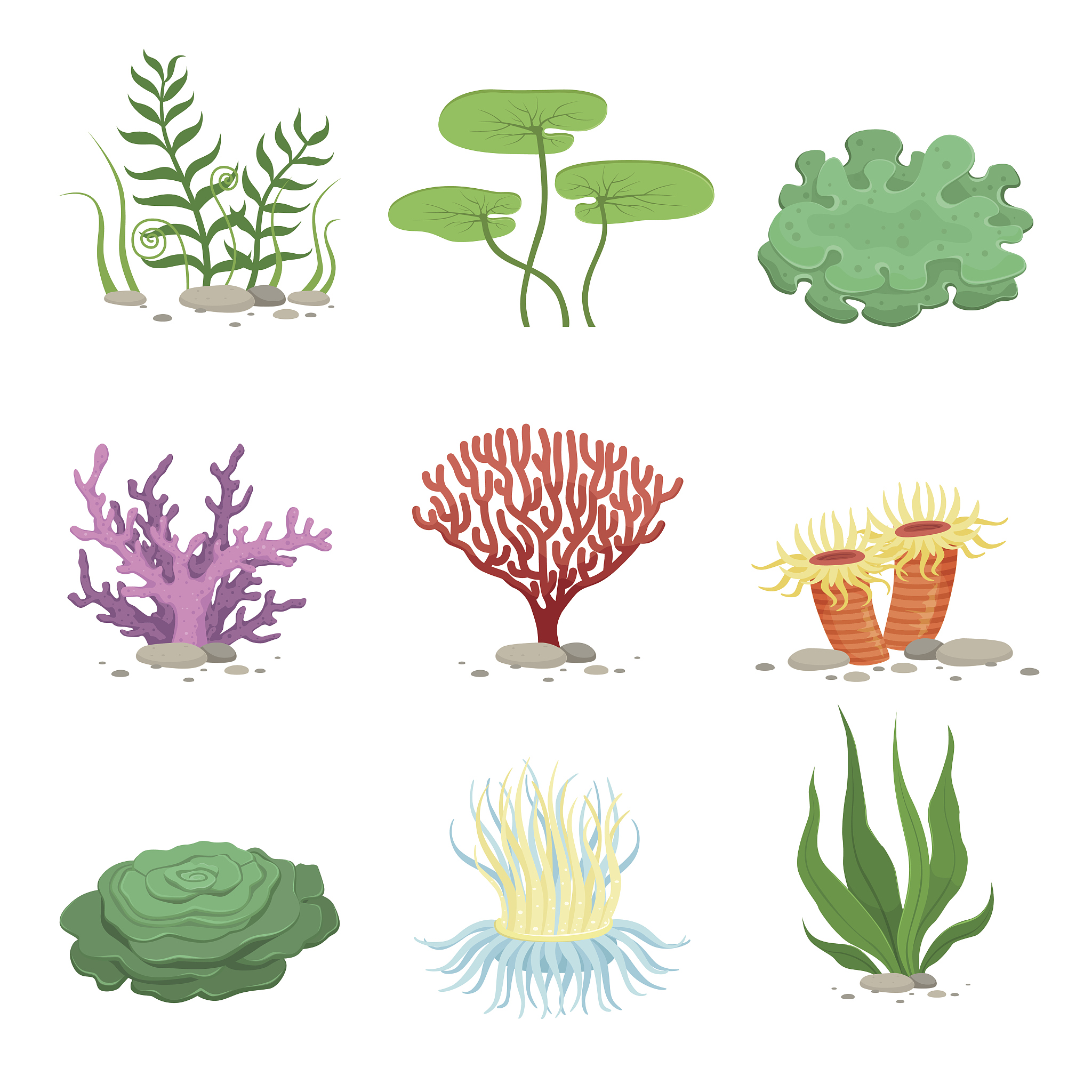 sea aquatic fauna underwater plants and corals. vector colorful 