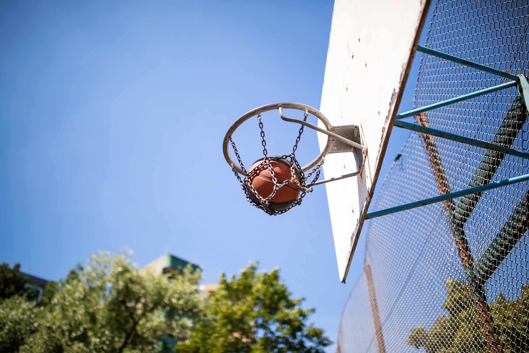 宅男的人间冒险：一款独特的冒险游戏