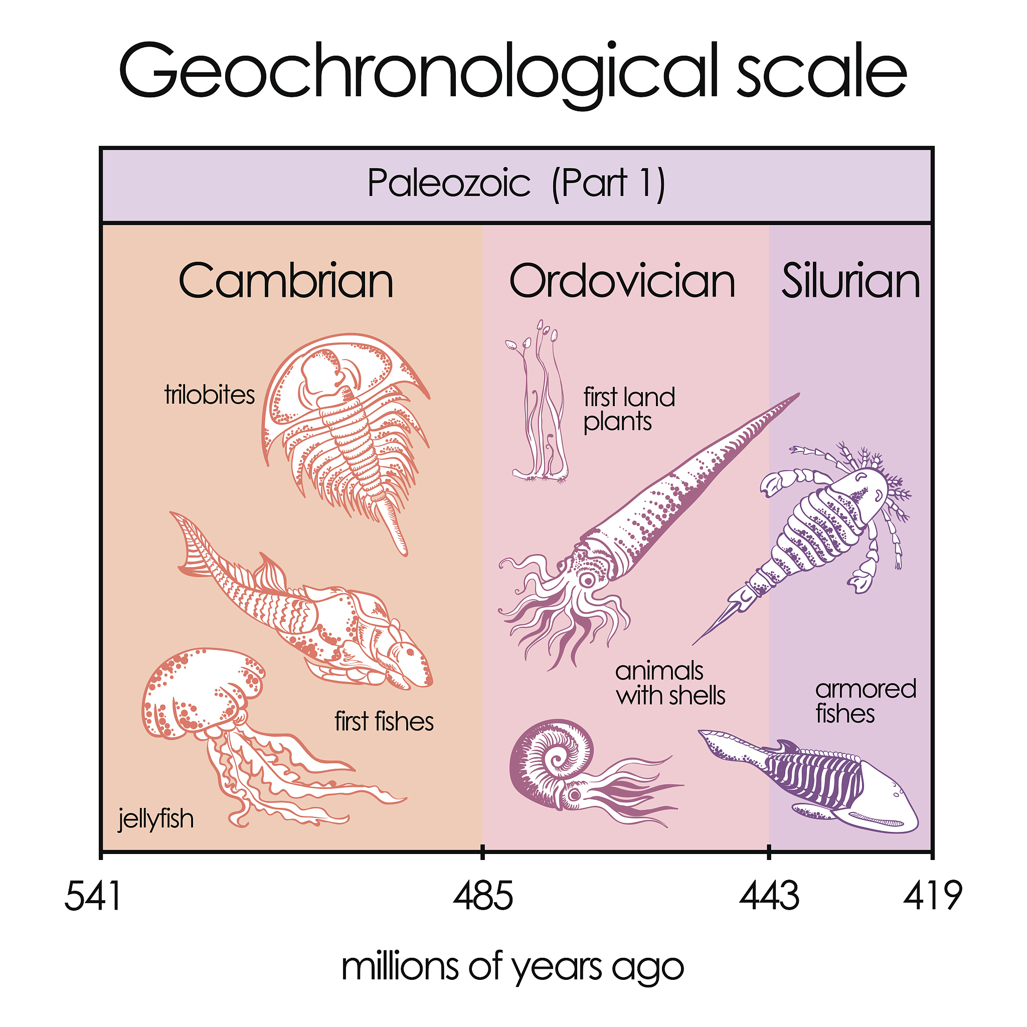fastapi中使用tortoise-orm alembic 数据库结构如何迁移