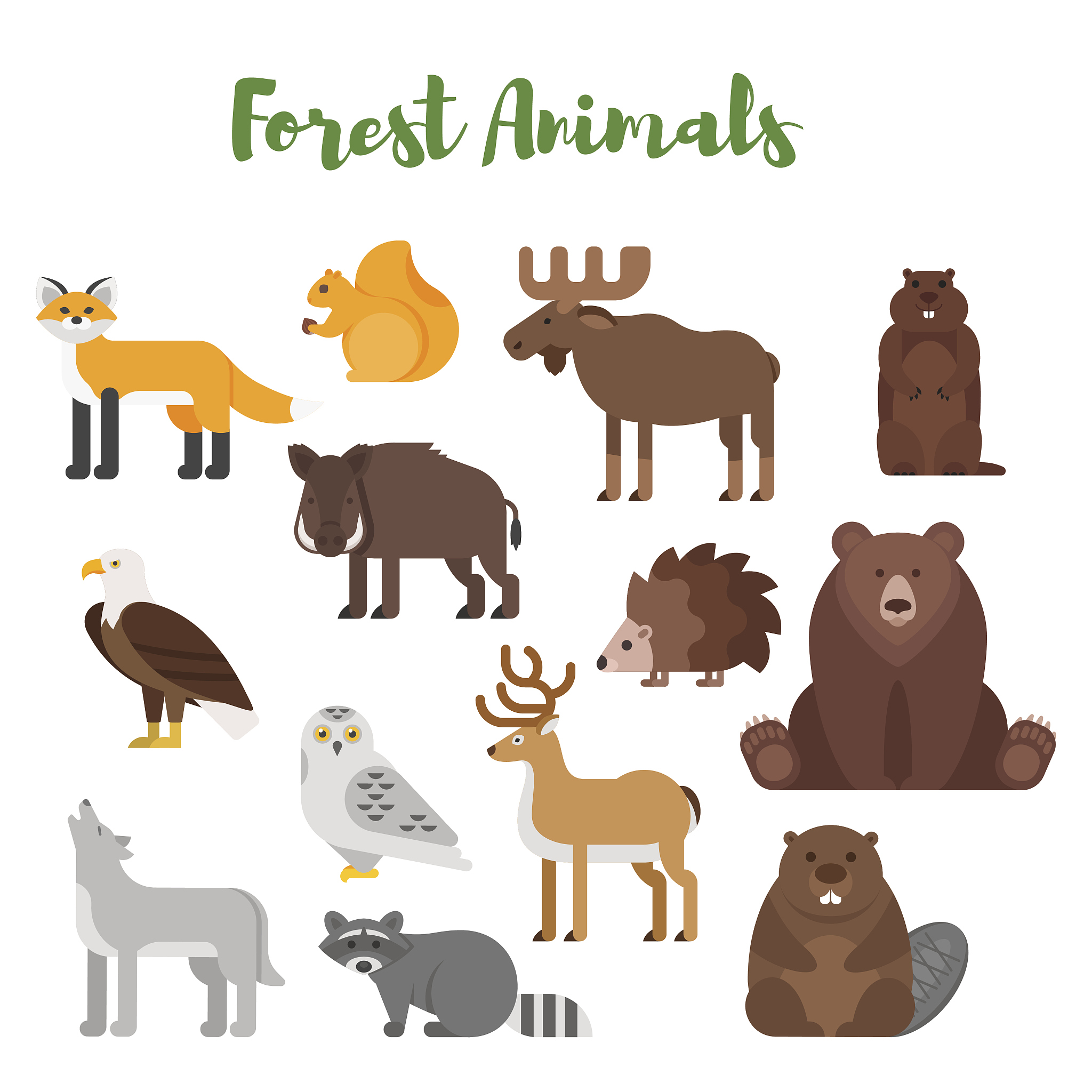 Animal Intelligence: Are Our Furry Friends Smarter Than We Think?