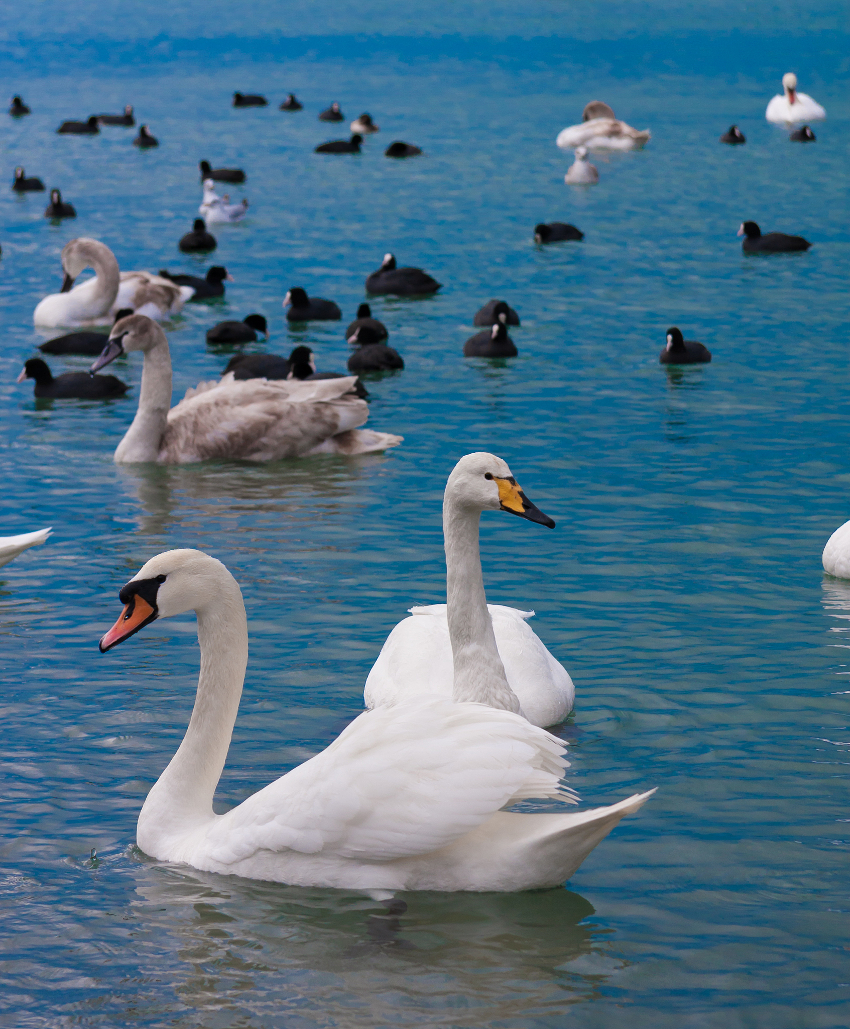 自由的真谛：探索、实践和未来