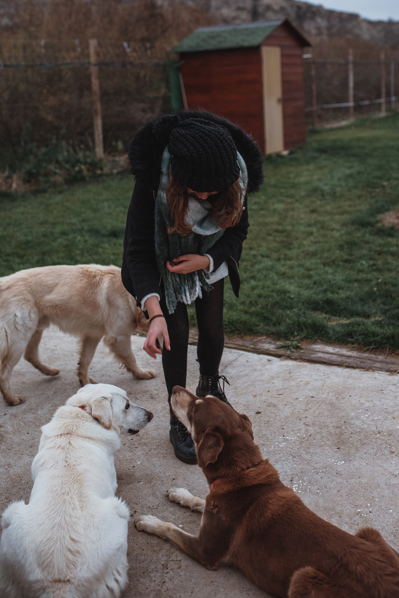 最好的哥们儿的狗狗在医院治疗抢救过程中没抢救过来但是他现在接不着电话