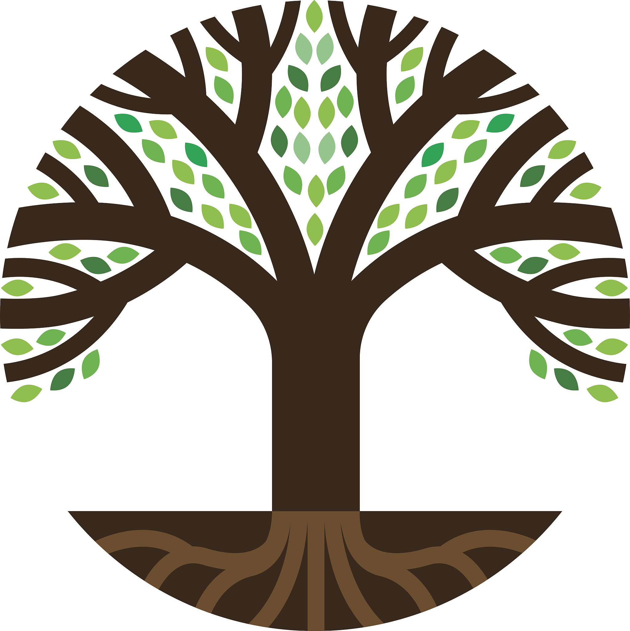 round tree roots illustration