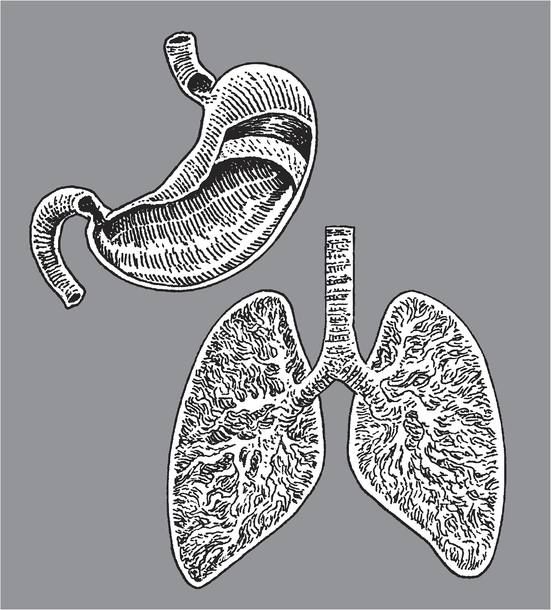 ICD 强烈优先分类章节：涵盖常见疾病类别