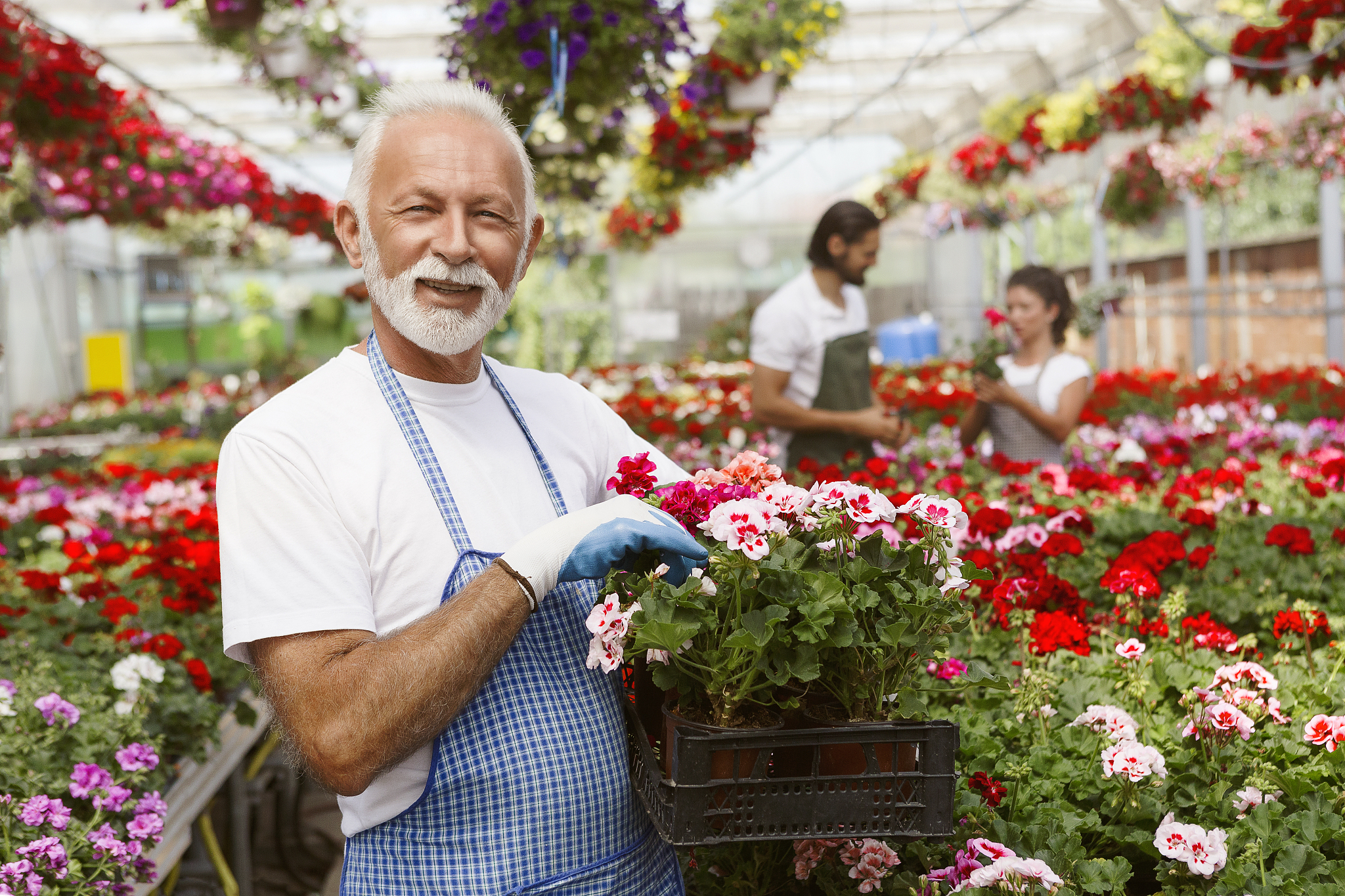senior gardener taking care of business