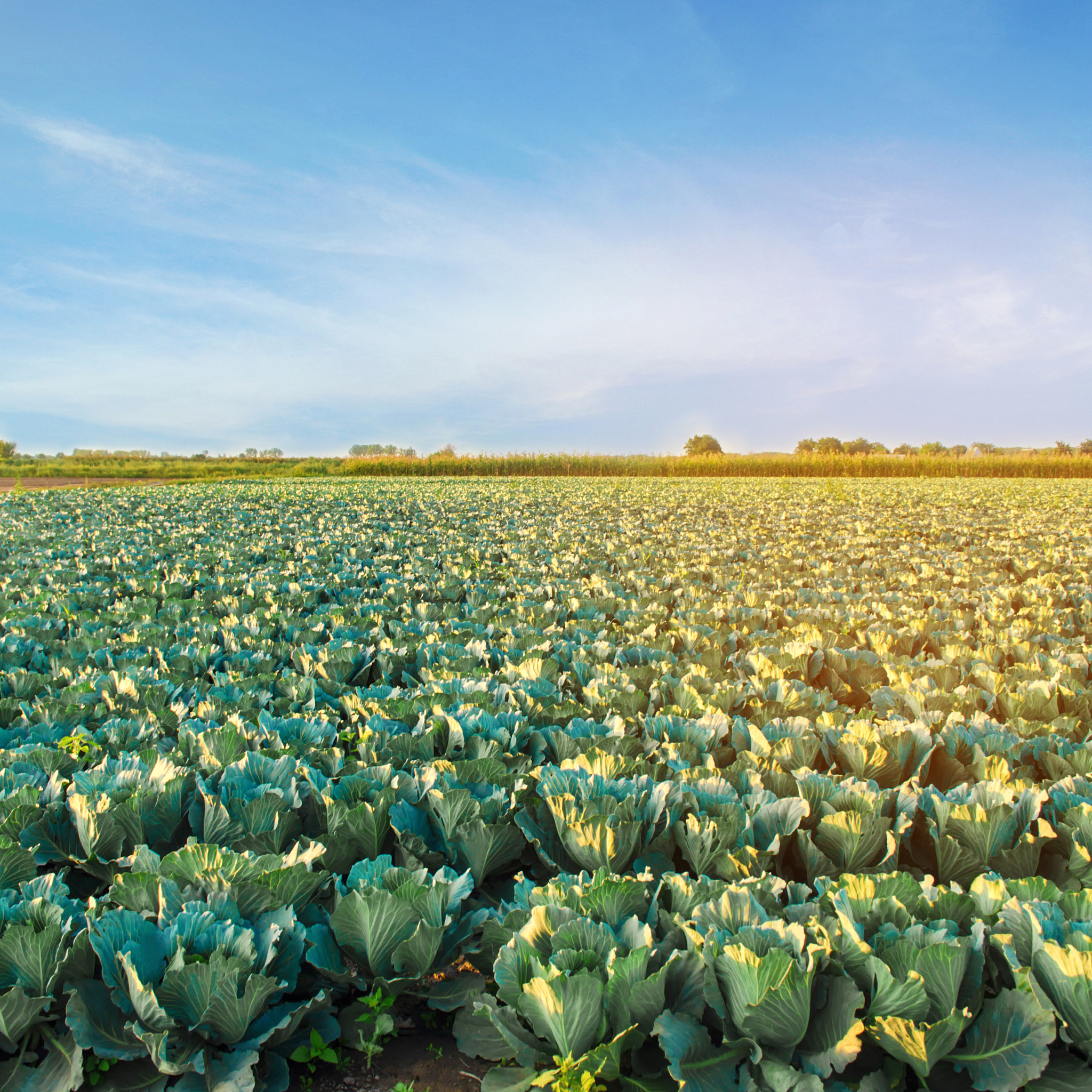 厦门2023中考男生适合的农学类专业推荐