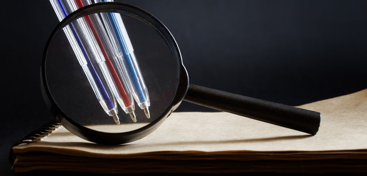 学年鉴定表中的班级鉴定300字