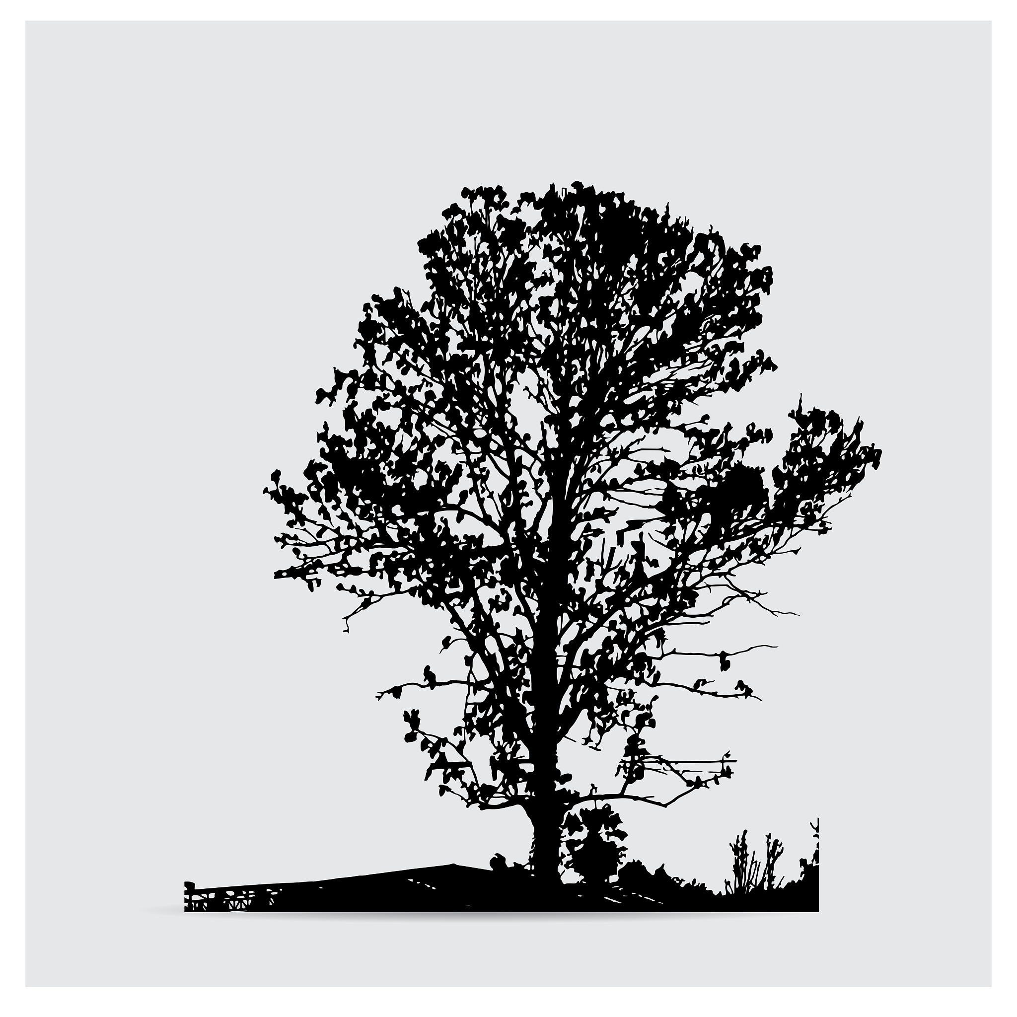 一个无向树T有一个3度顶点和两个2度顶点其他顶点都是叶结点。树T有多少叶子？ 为什么