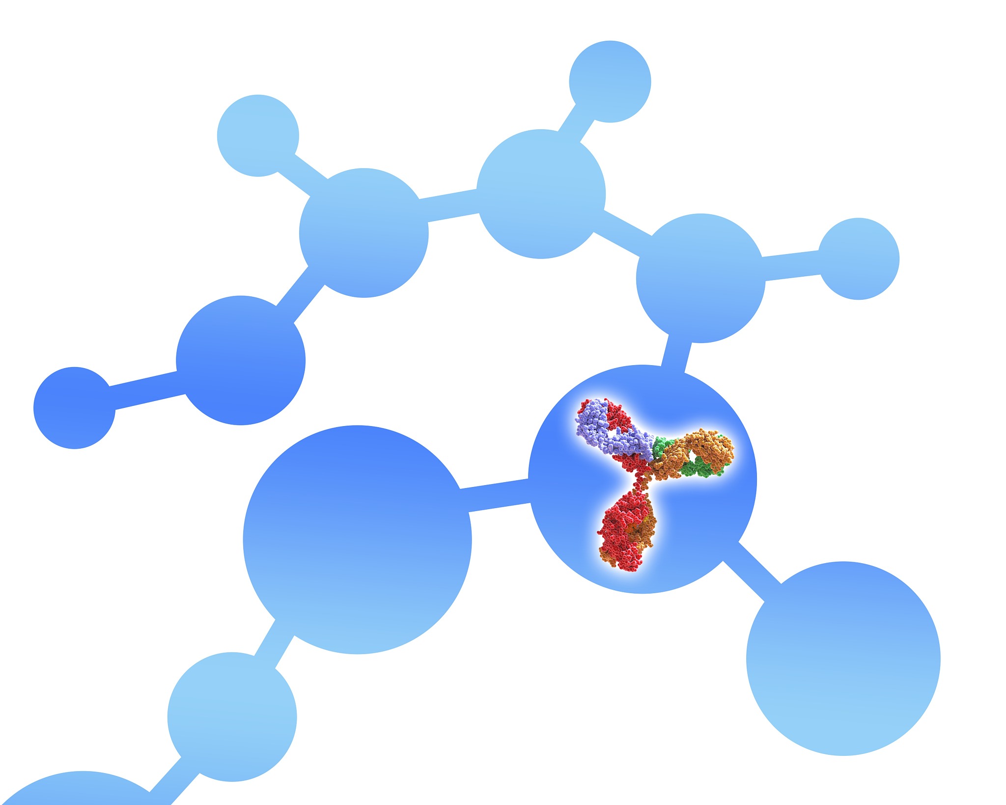 你好多肽是什么