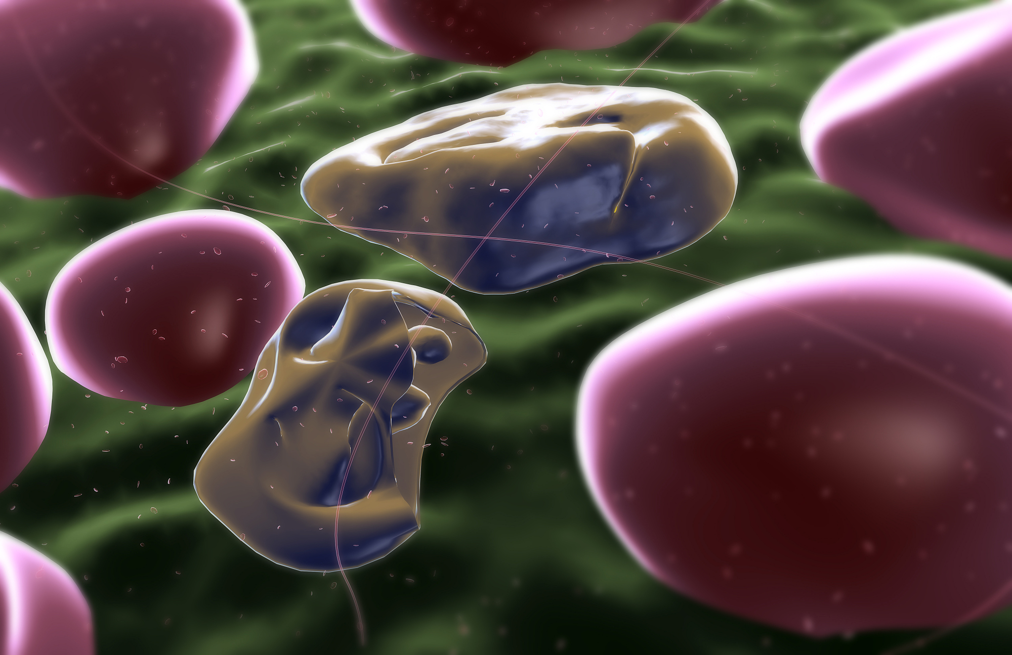 天花是造成死亡数最高的病菌吗？