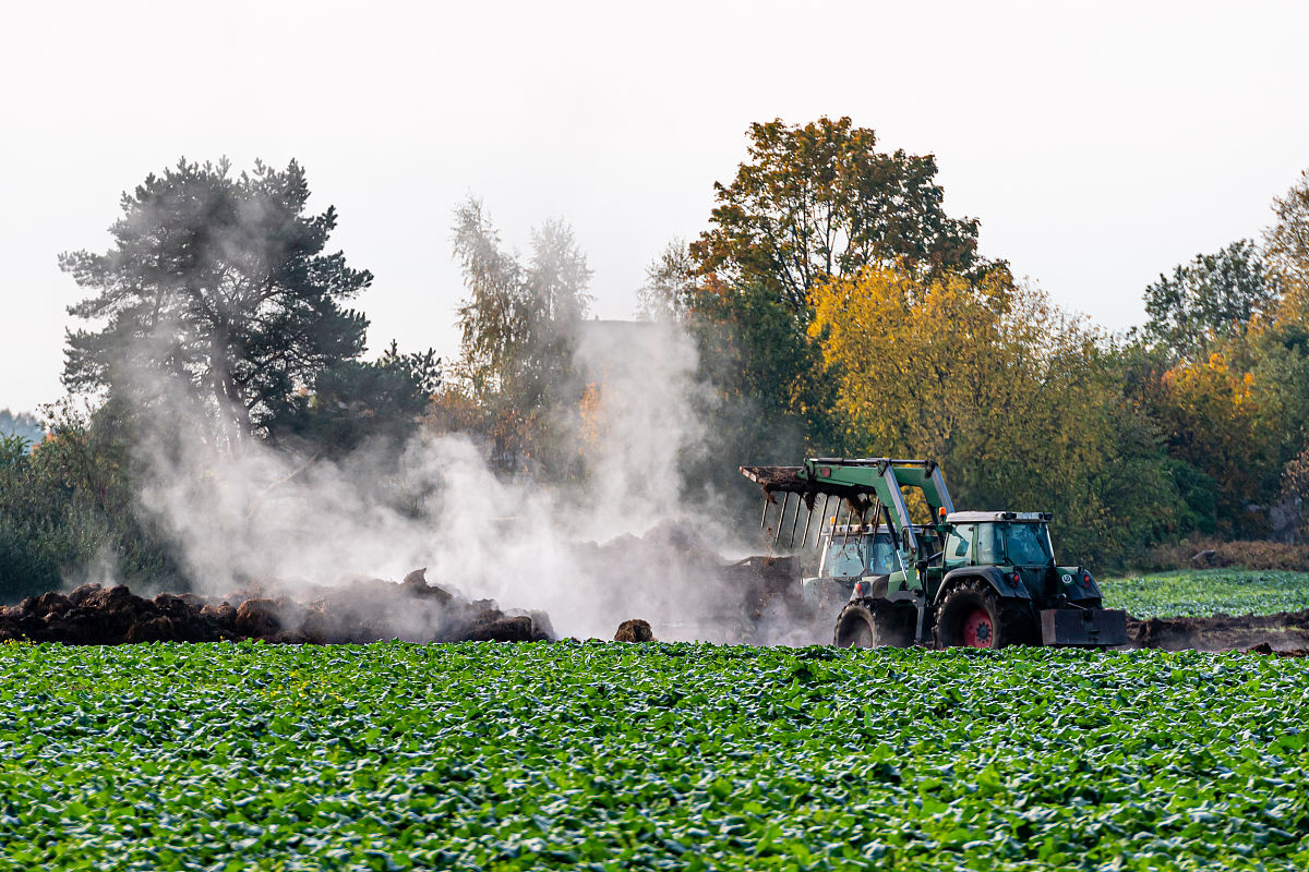 土壤无机磷与有机磷含量的影响因素