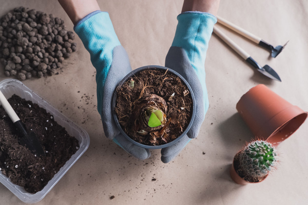 宁夏职校园艺技术专业前景广阔，未来发展趋势分析