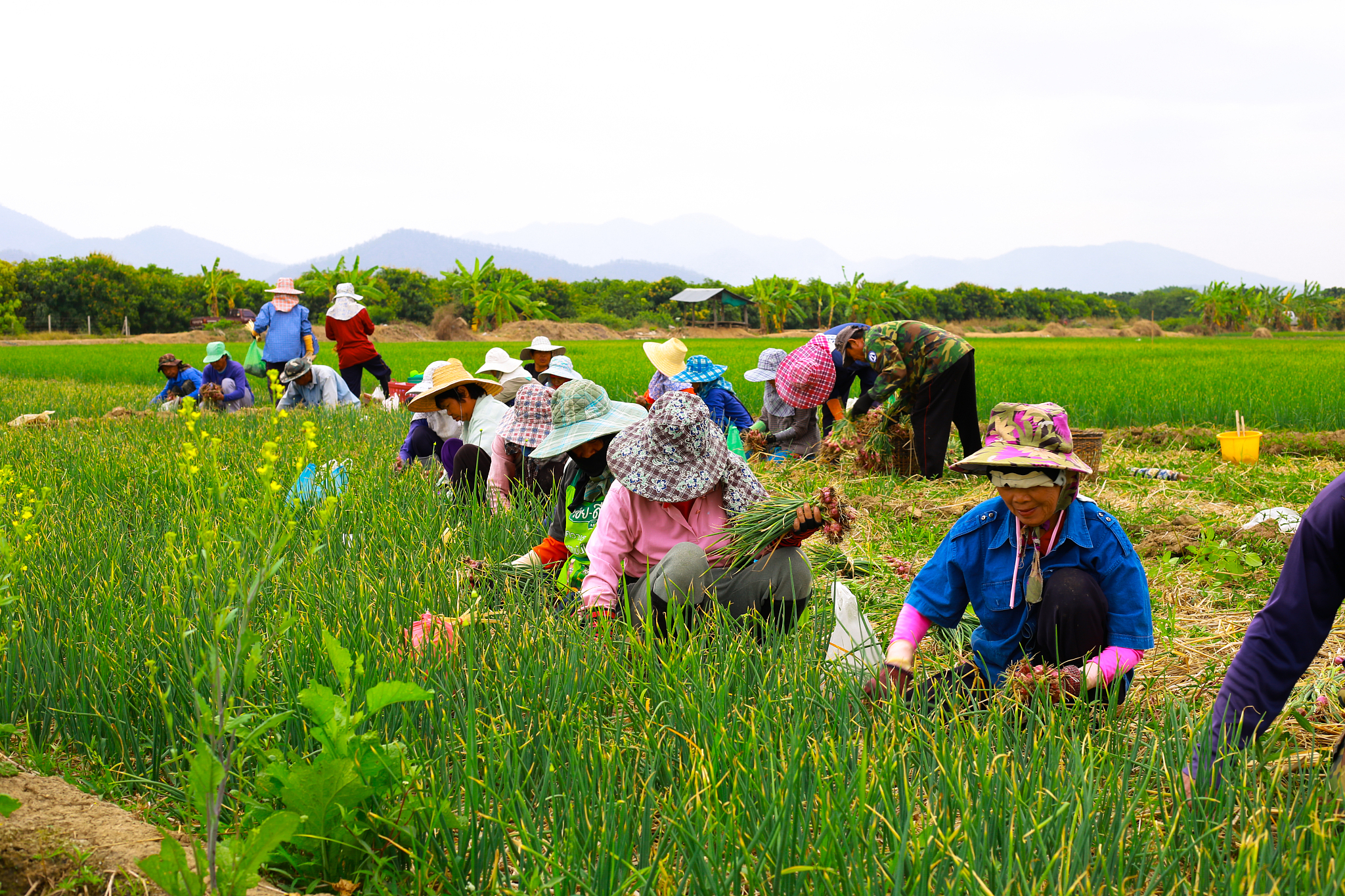 江西农业工程职业学院专业介绍：涵盖农业、工程、商贸、艺术等领域