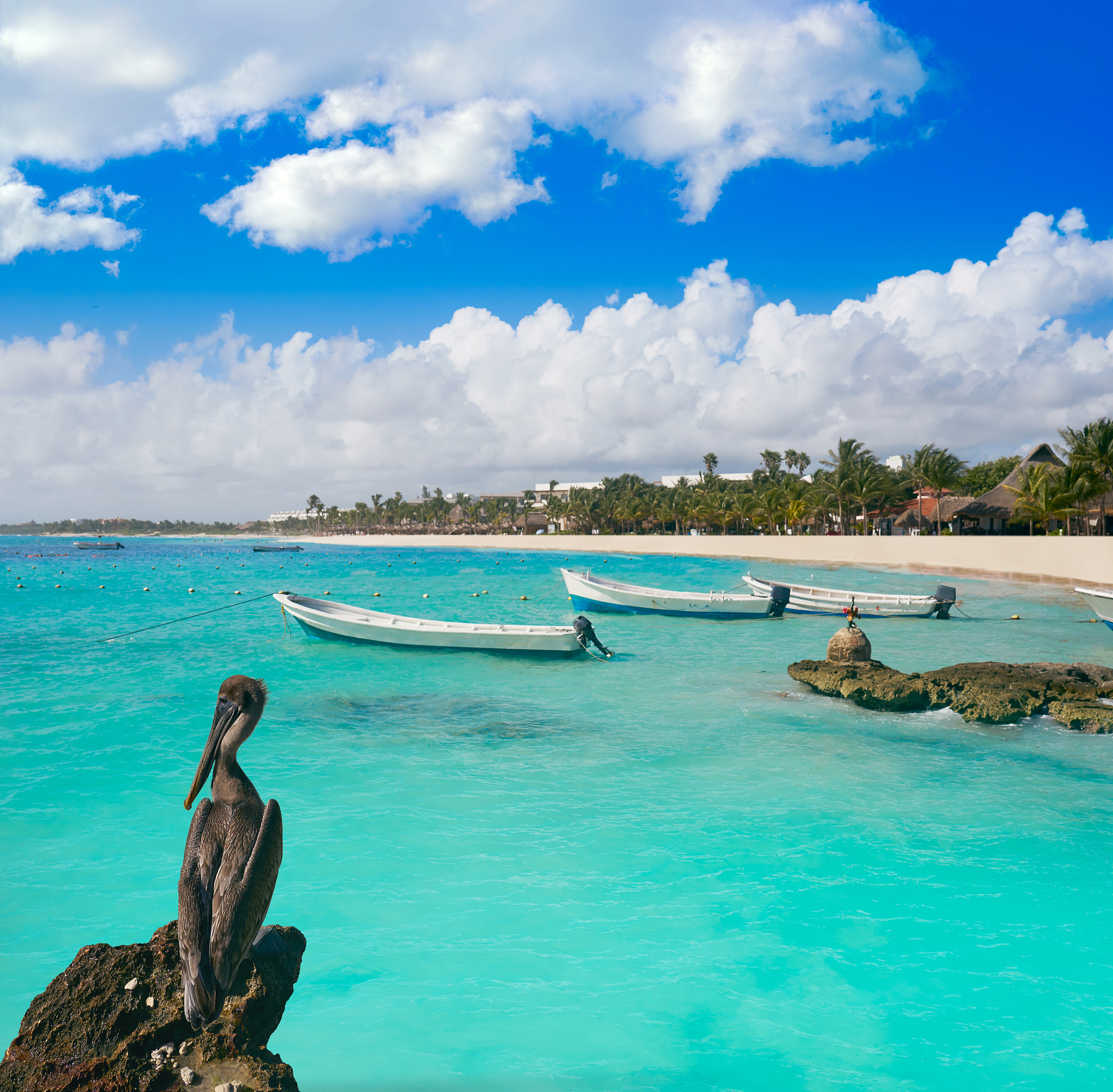 akumal bay beach in riviera maya