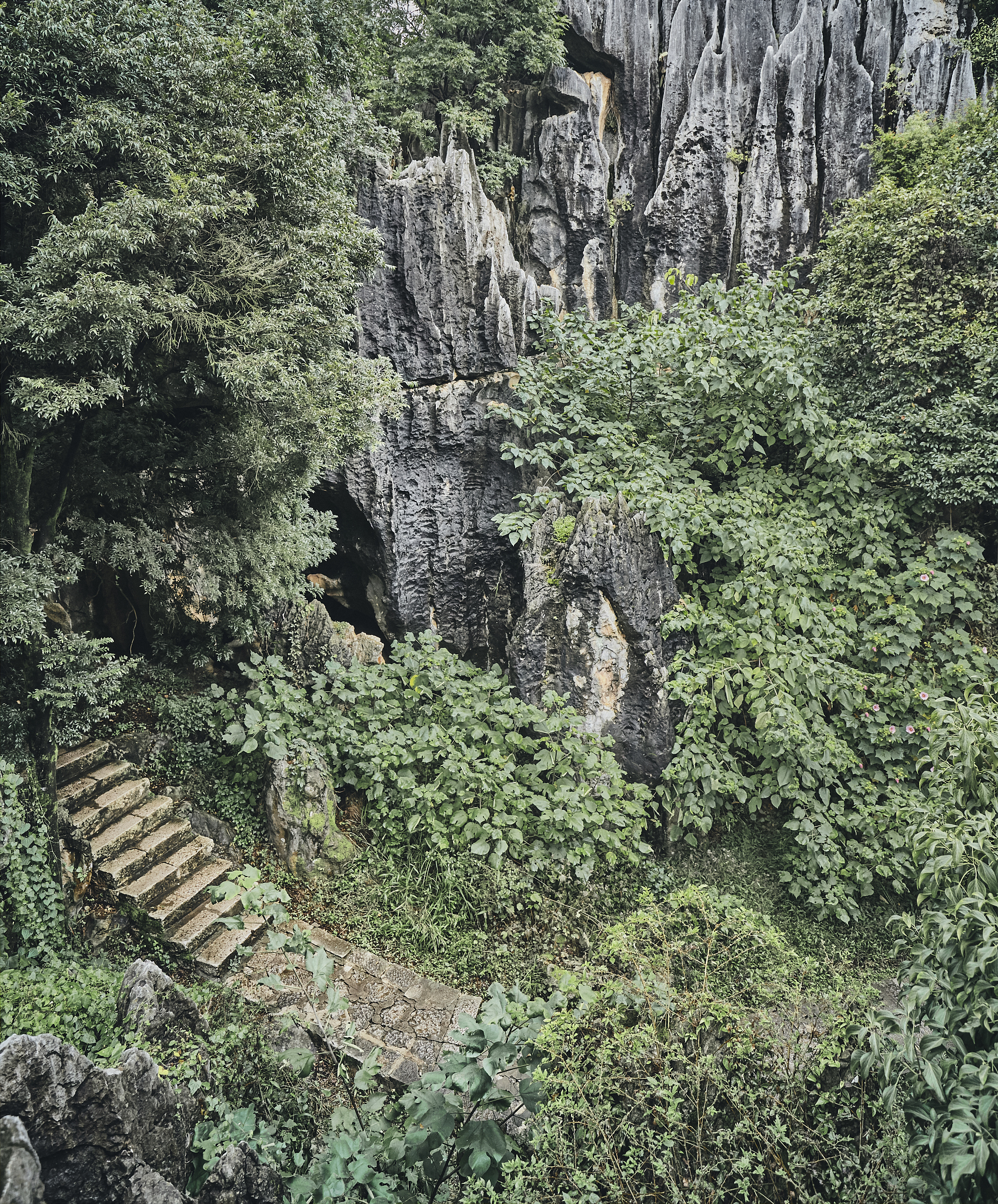 作为一名新时代的大学生请你结合历史分析中国式现代化的本质特征并概括总结推进中国式现代化的历史贡献与世界意义理论联系实际联系材料论述通顺严谨